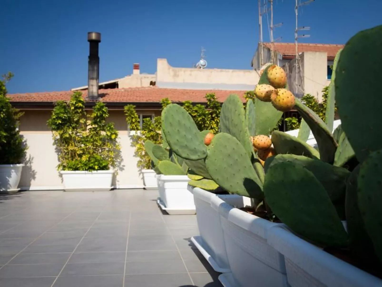 Aed-Suite-Image-tags.info