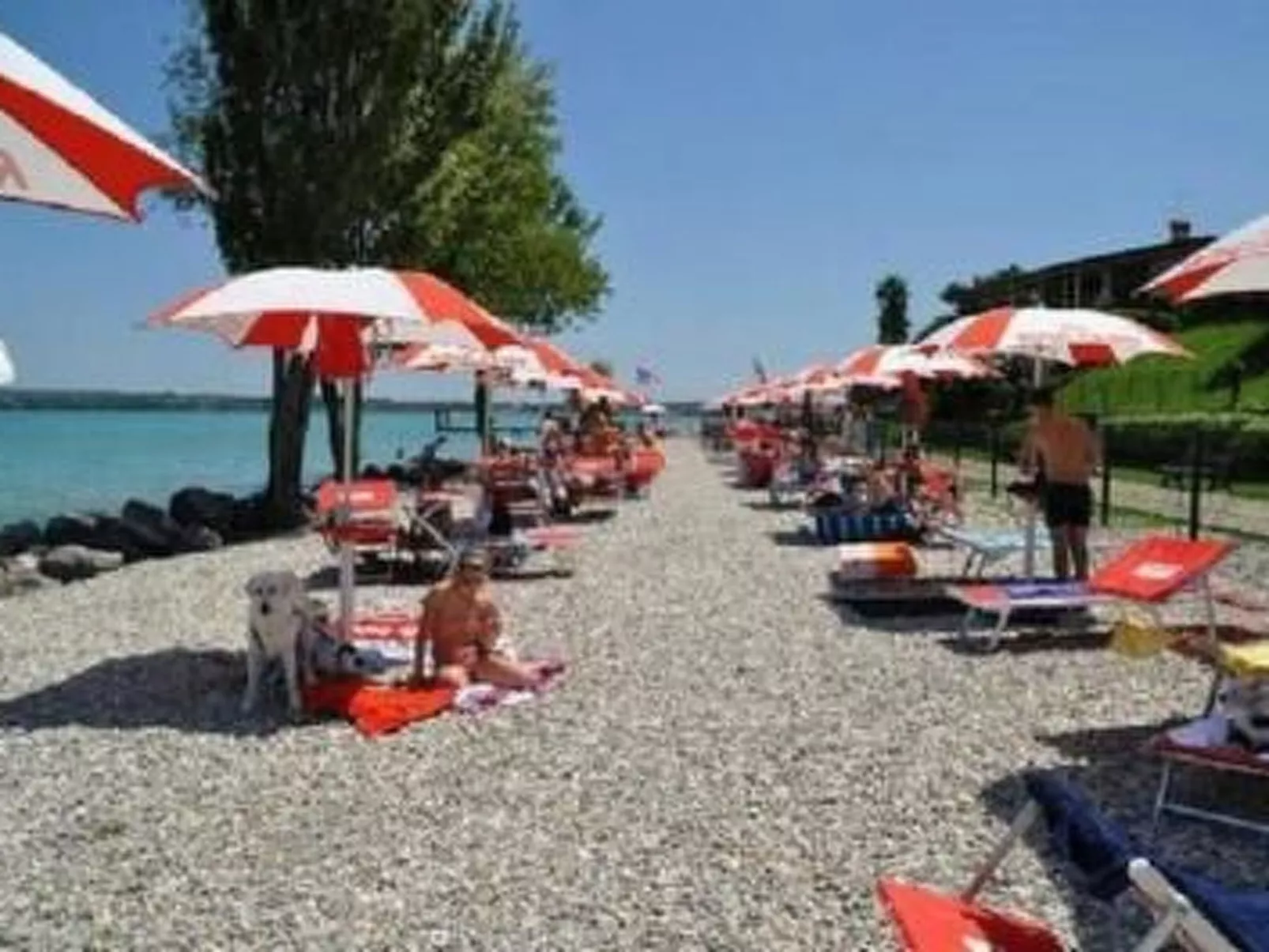 FeWo C-46-Image-tags.info