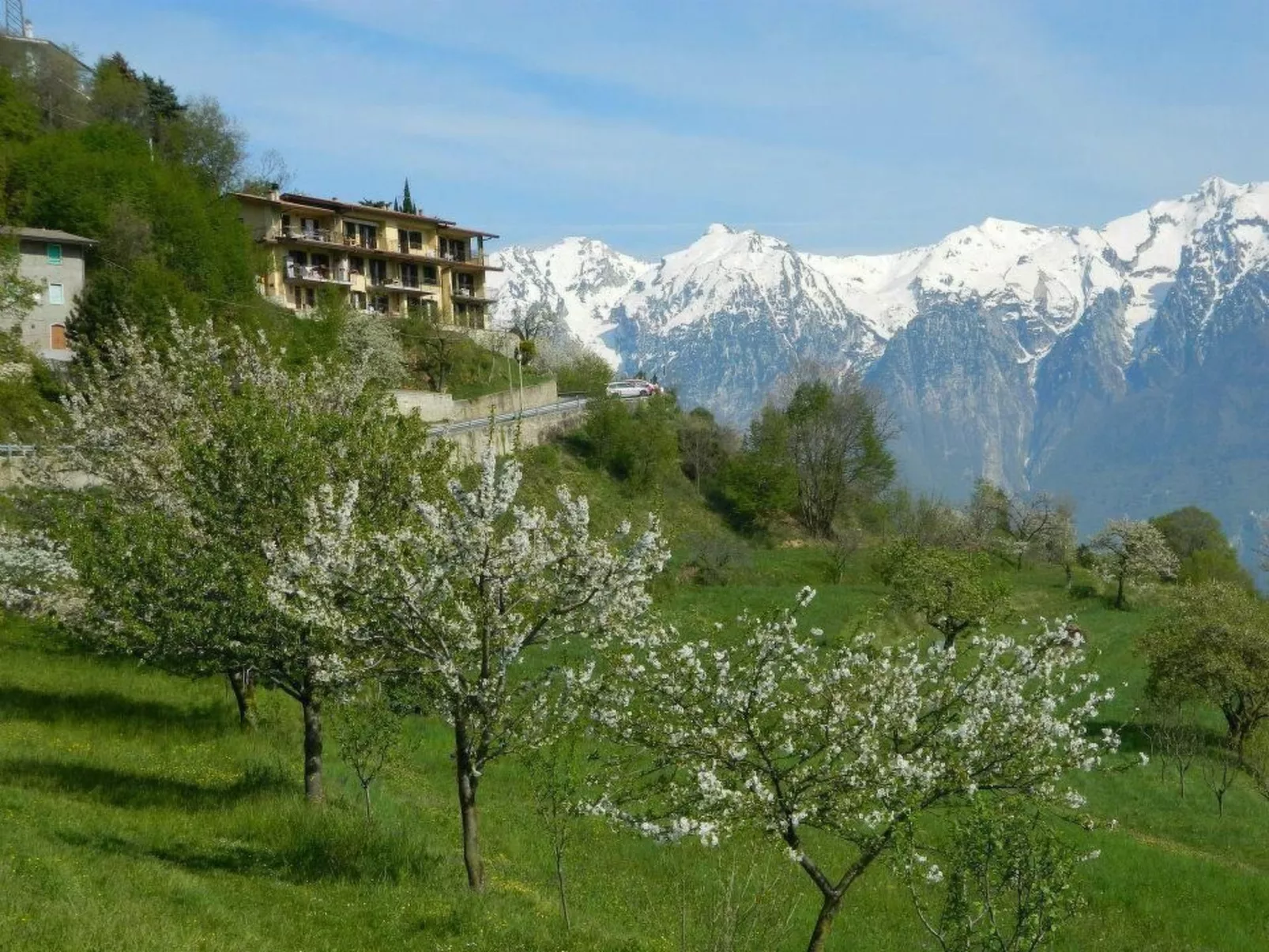 Wohnung 'Stella del Garda' - Buiten