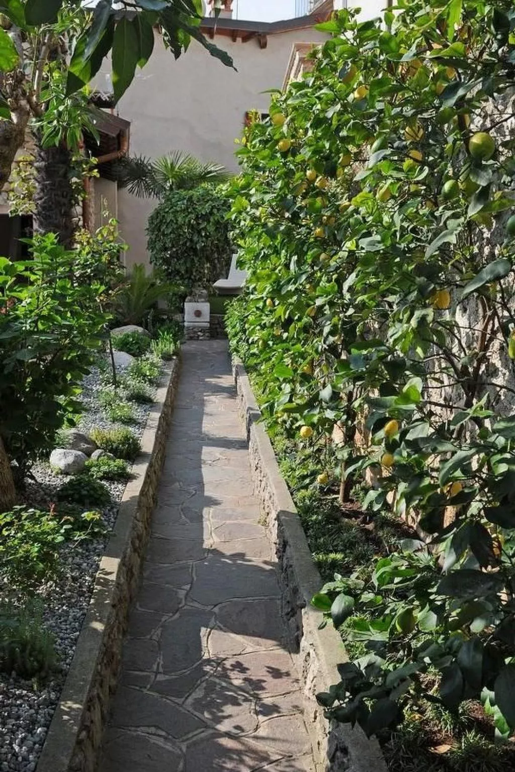 'La Casetta Limone - Buiten