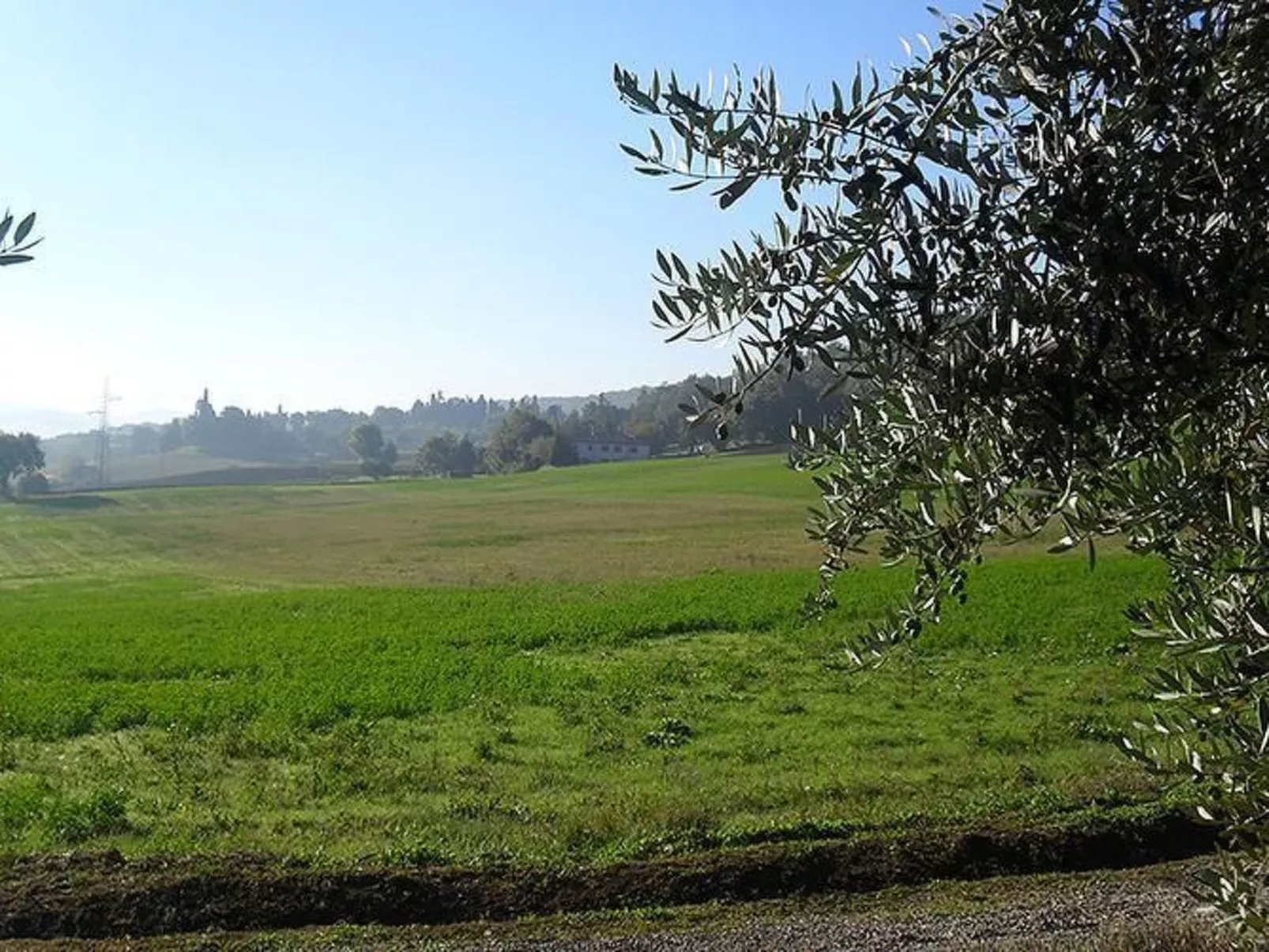 Großes Appartement-Buiten