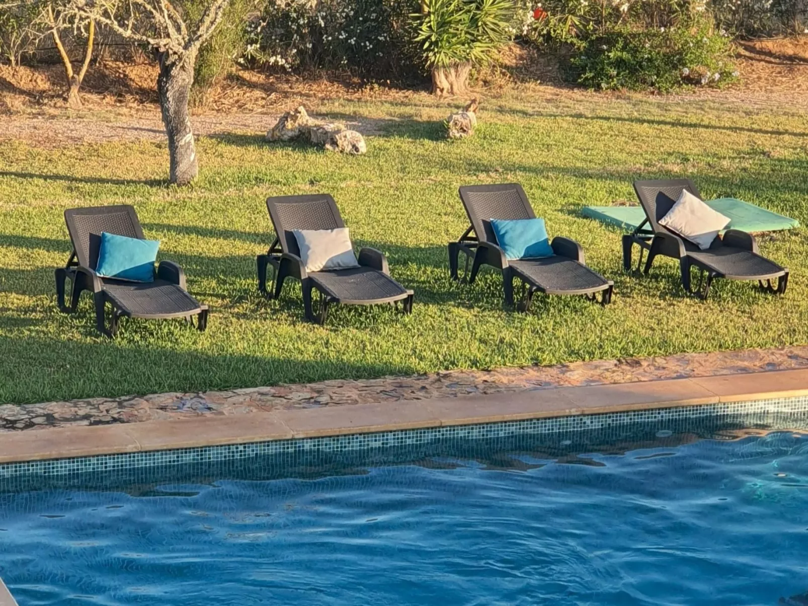 Finca SON FRED, Campos.-Buiten