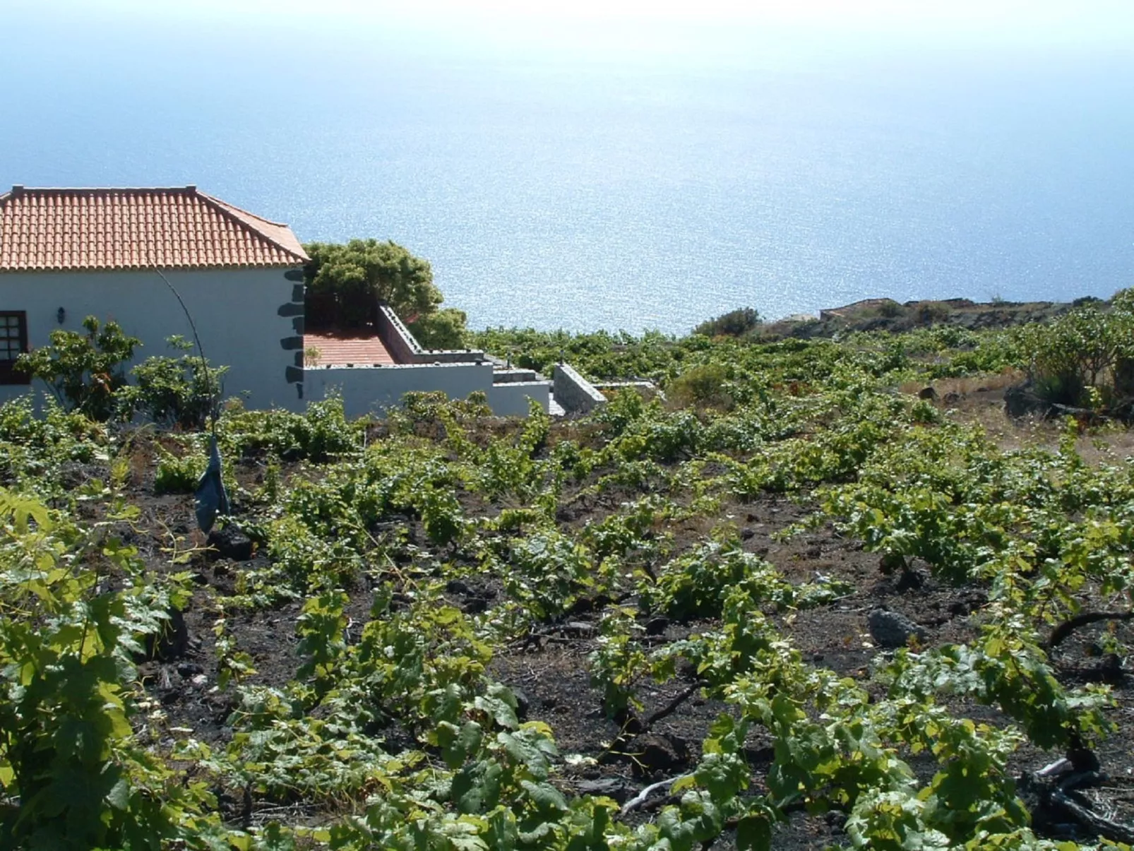 Mit Garten und wunderbarer Aussicht-Image-tags.info