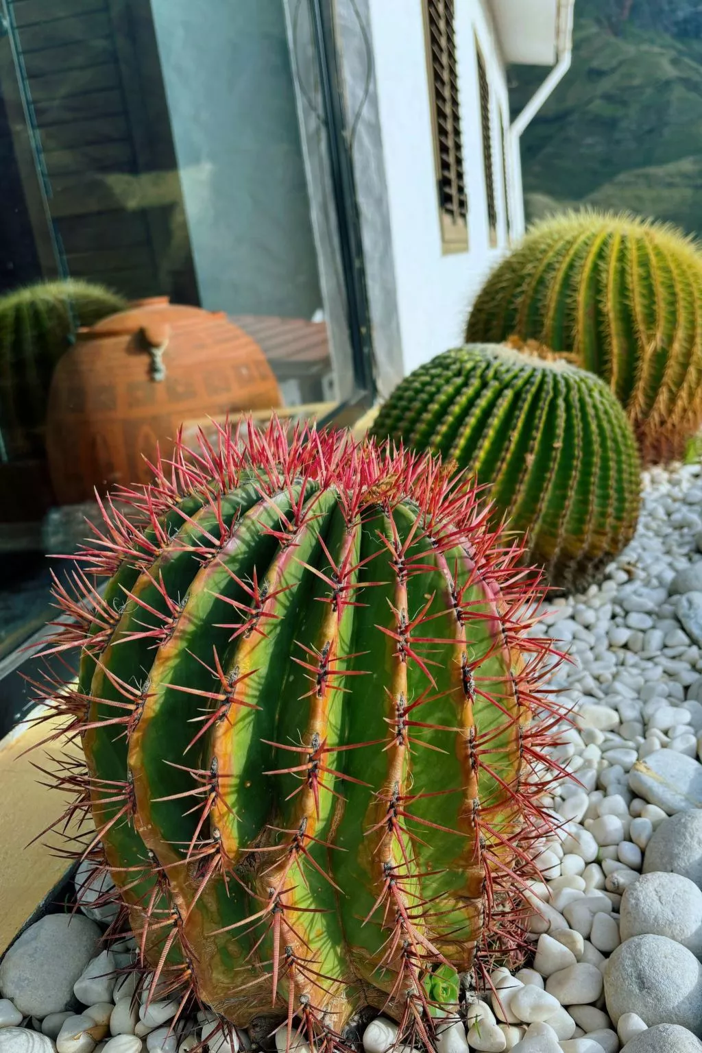 Haus mit Jacuzzi, Blick auf Berge, Meer und Ents-Buiten