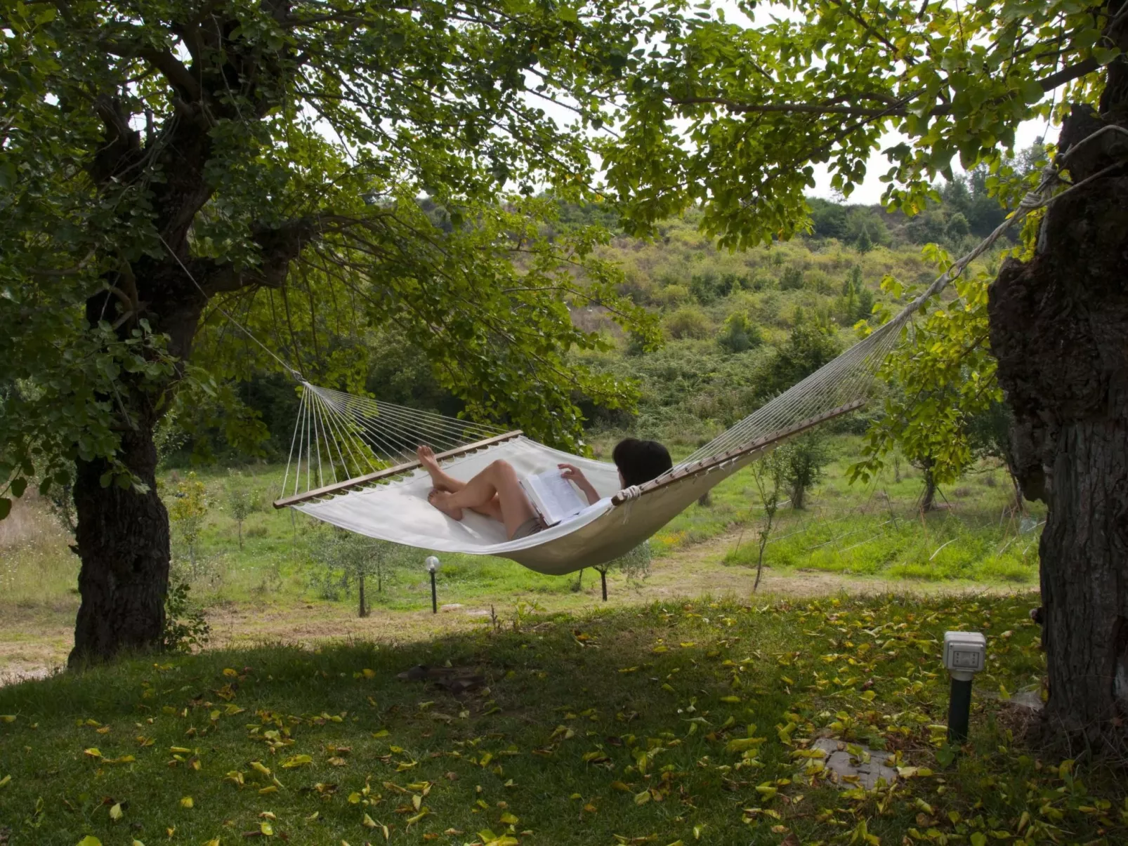 Apartment Rosa Canina (Wilde Rose)-Buiten