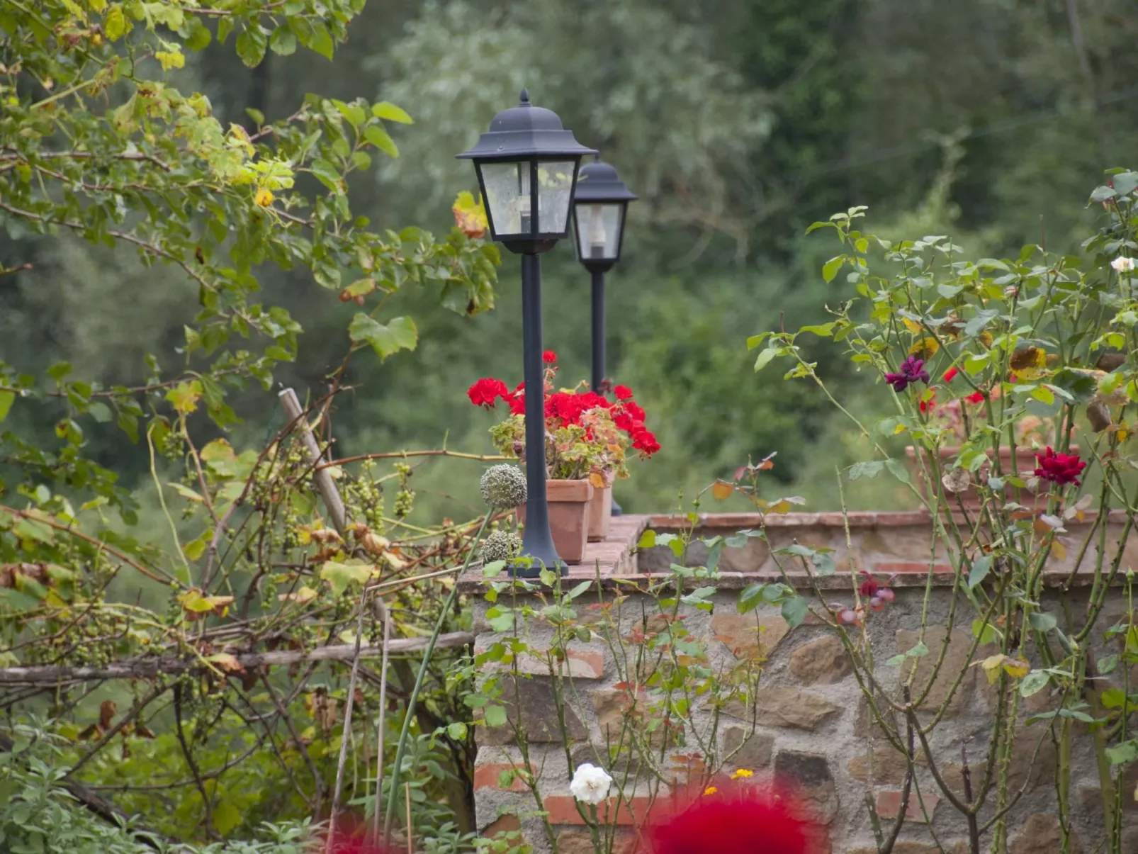 Wohnung in Figline Valdarno mit Gemeinschaftspool-Buiten