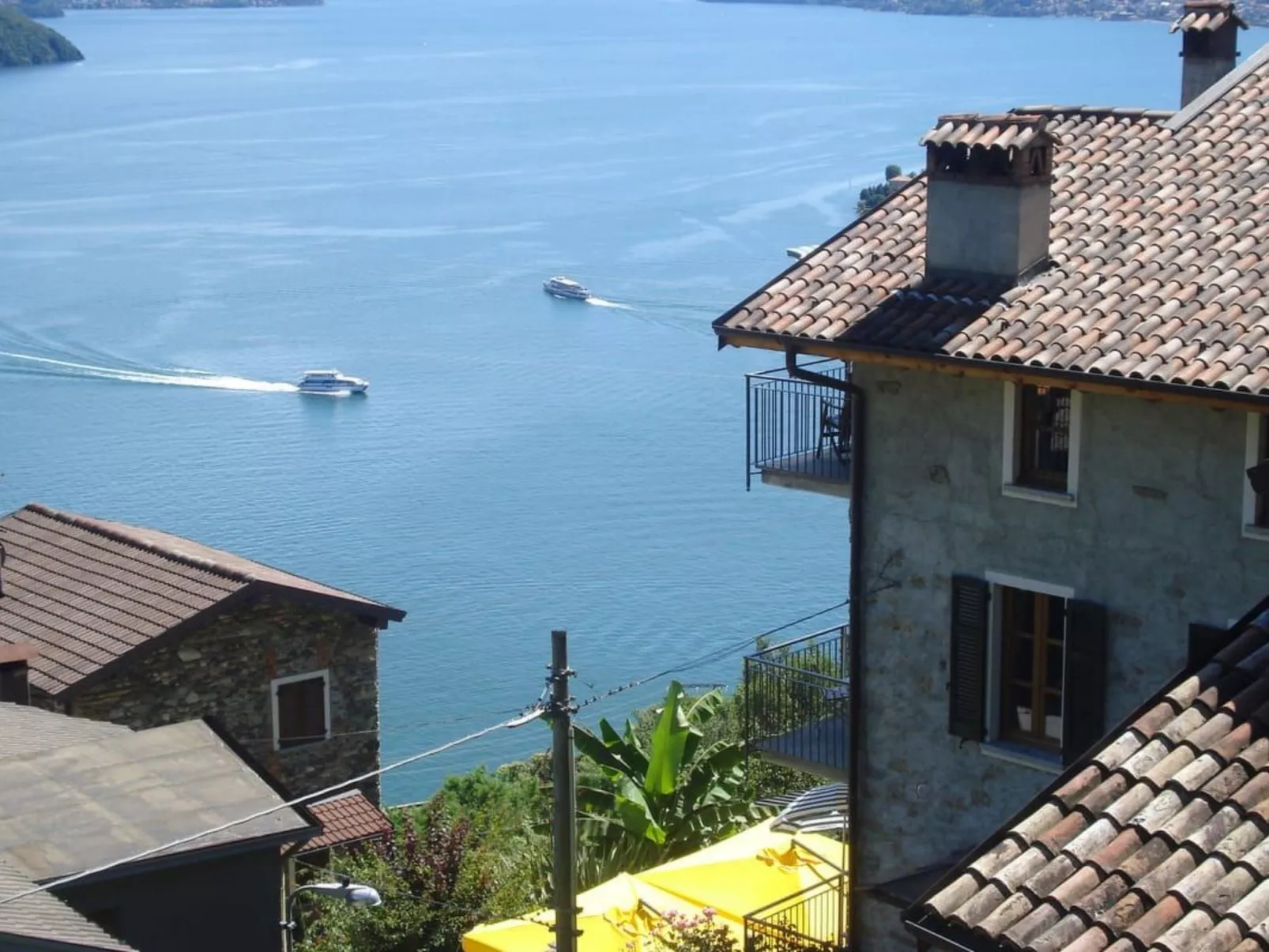 Amarone-Image-tags.info