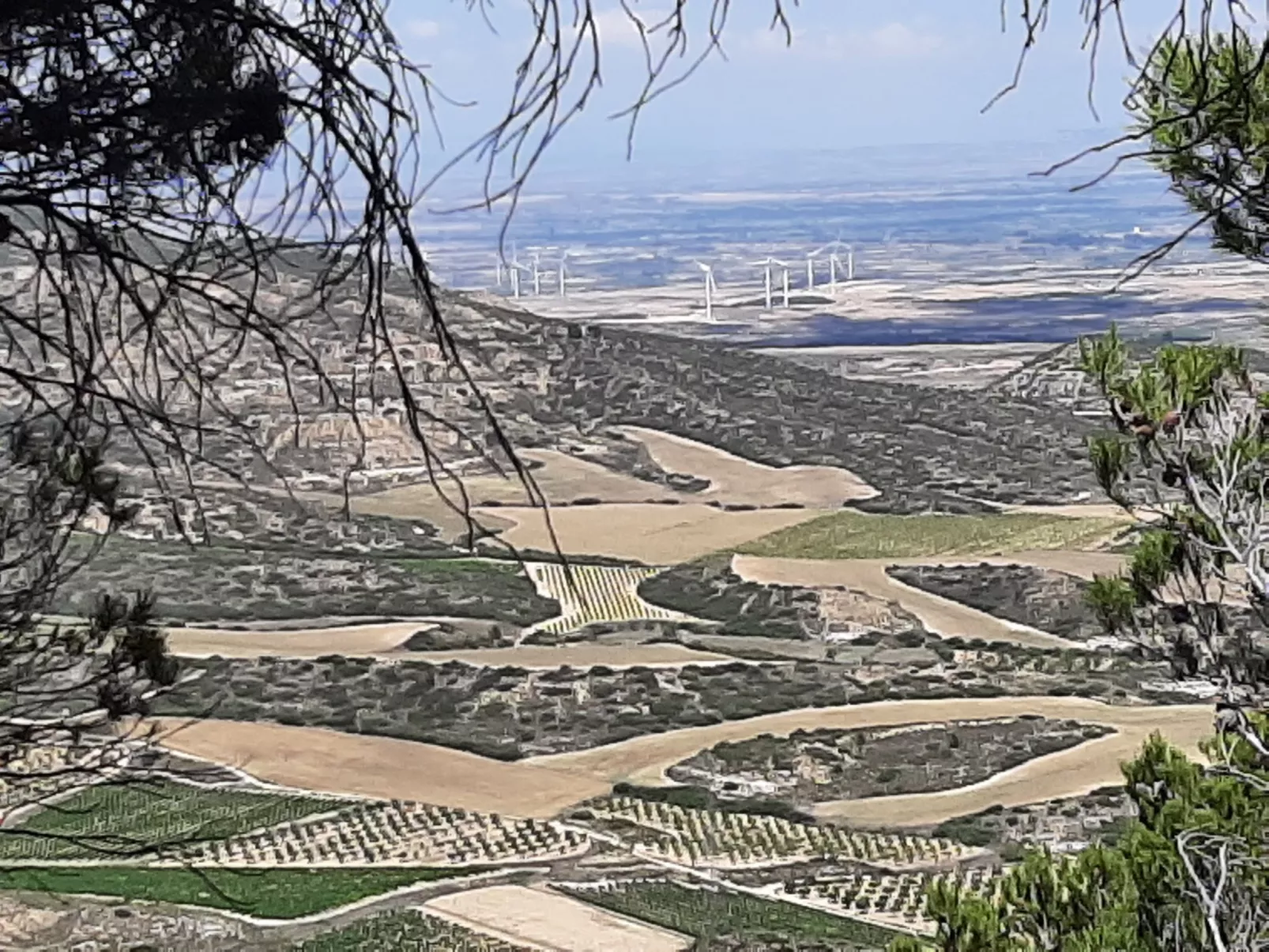 Landwohnung mit Bergblick-Buiten