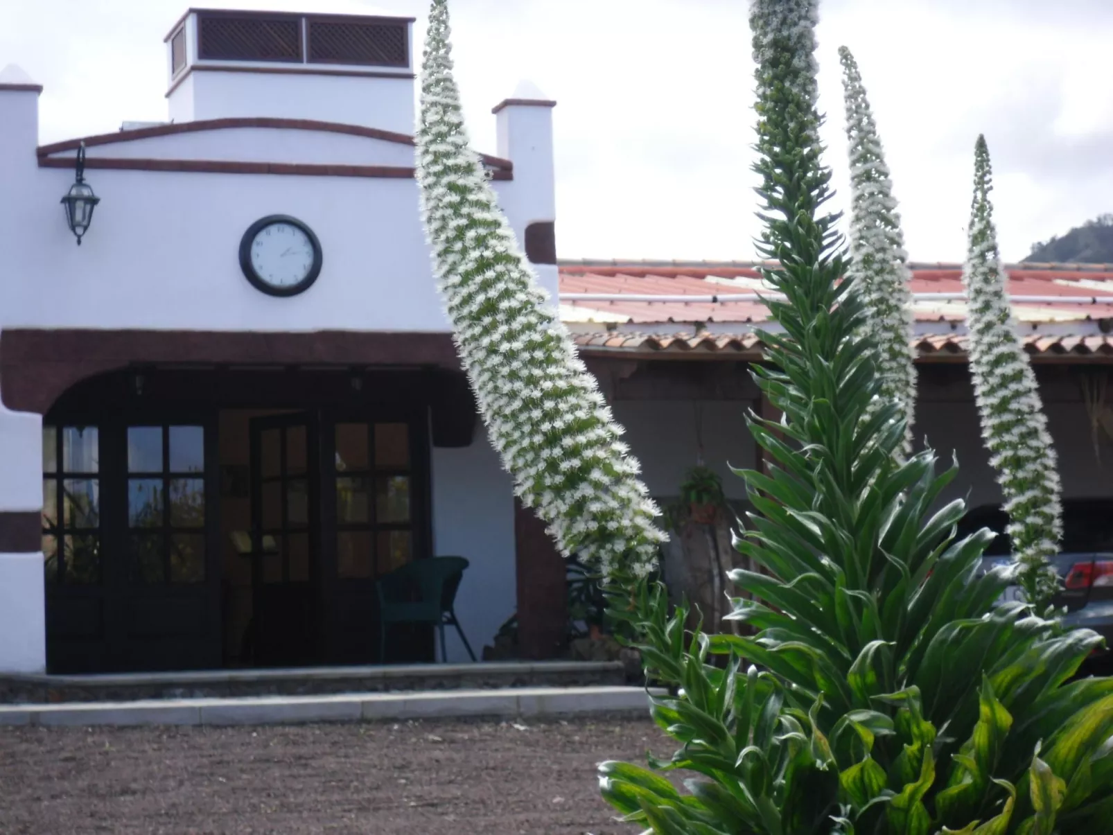 Familienanwesen von 60.000 m2 mit Schwimmbad-Buiten