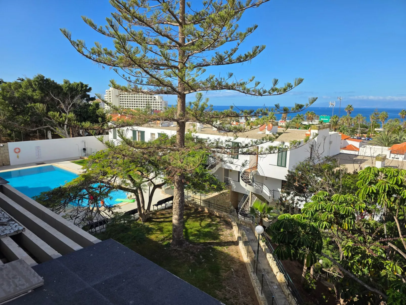 Jacaranda am Meer-Buiten