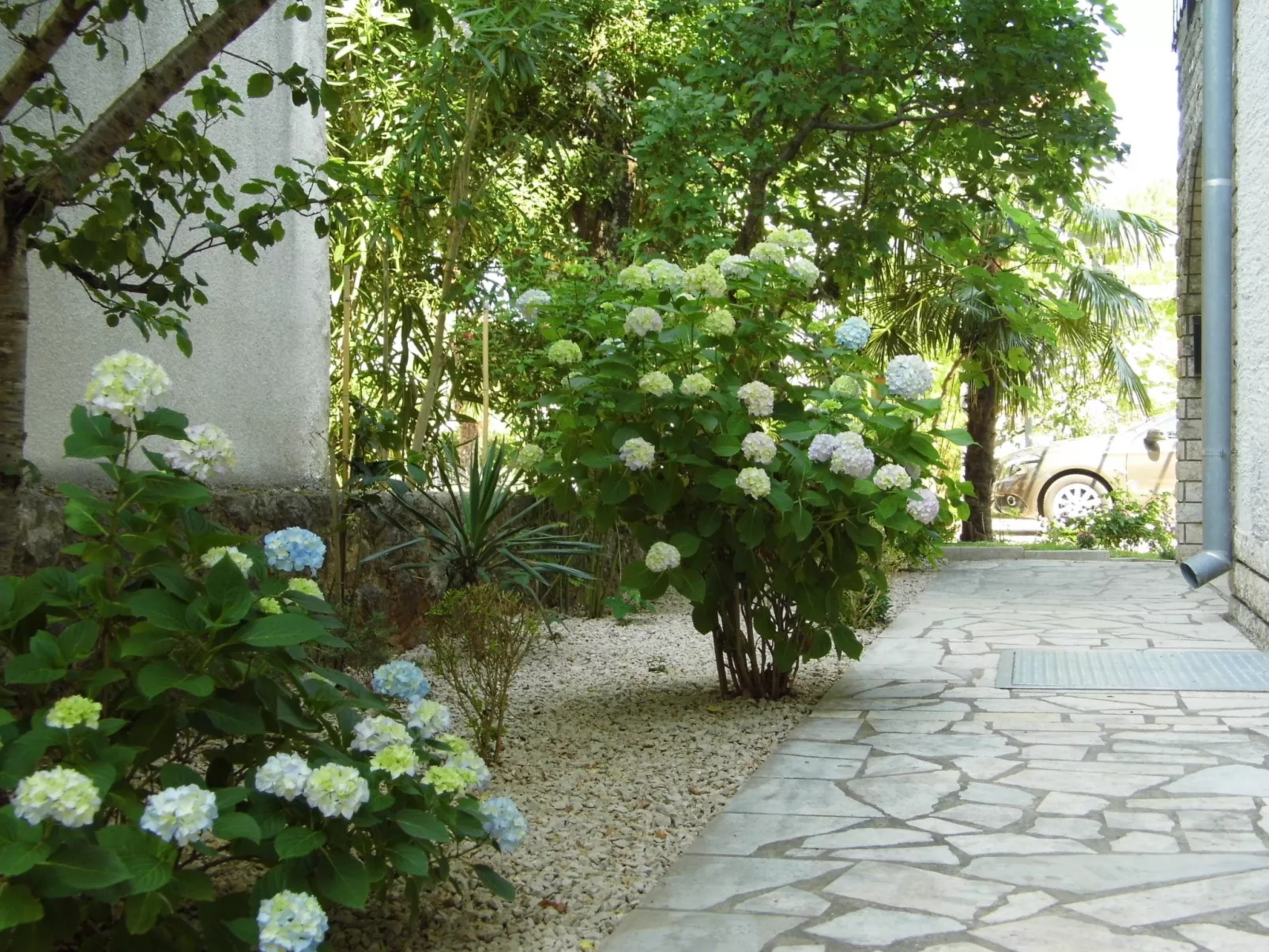 Stanojevic ap. 1-Image-tags.info