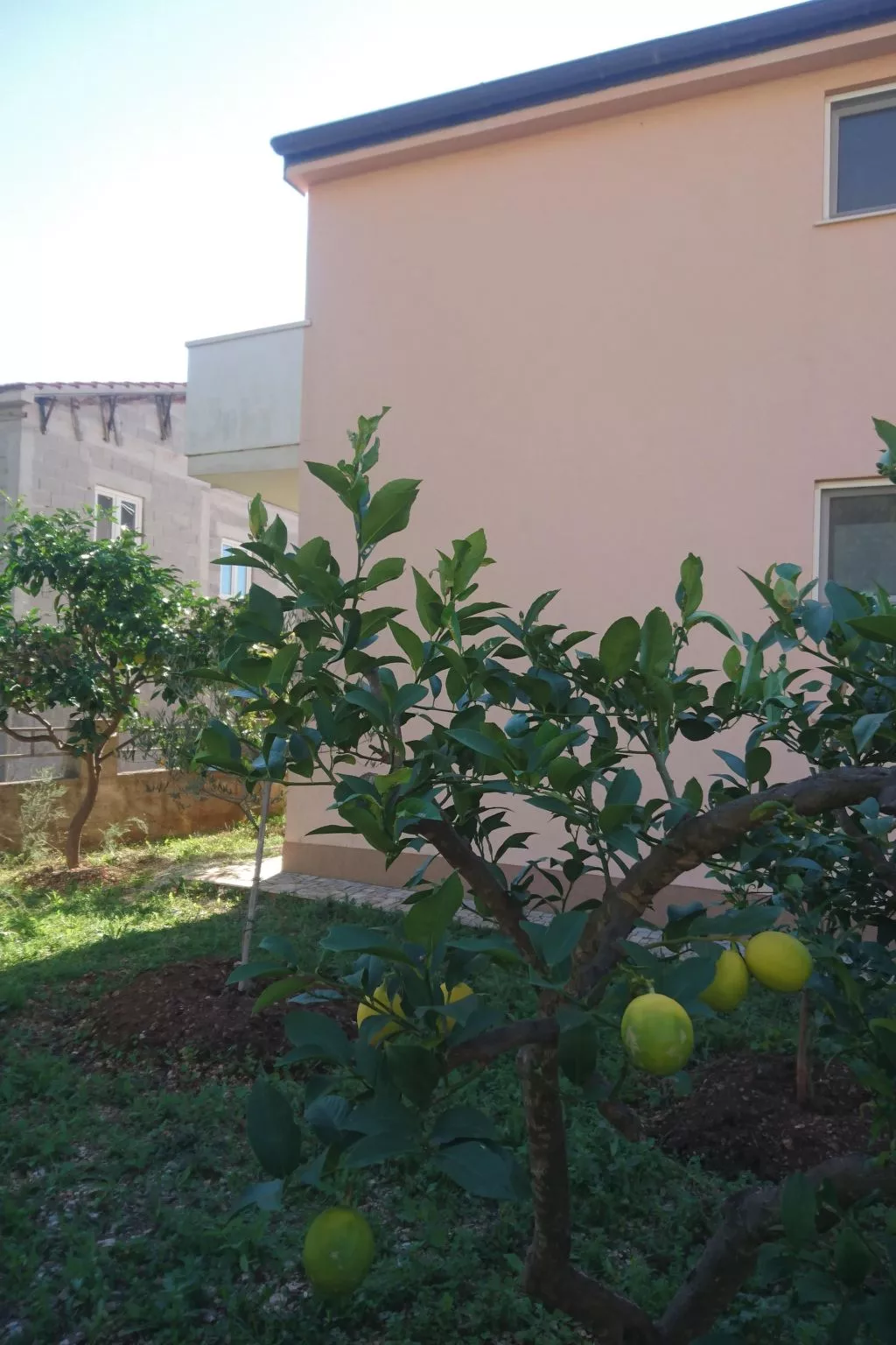 Michele-Grejp-Buiten