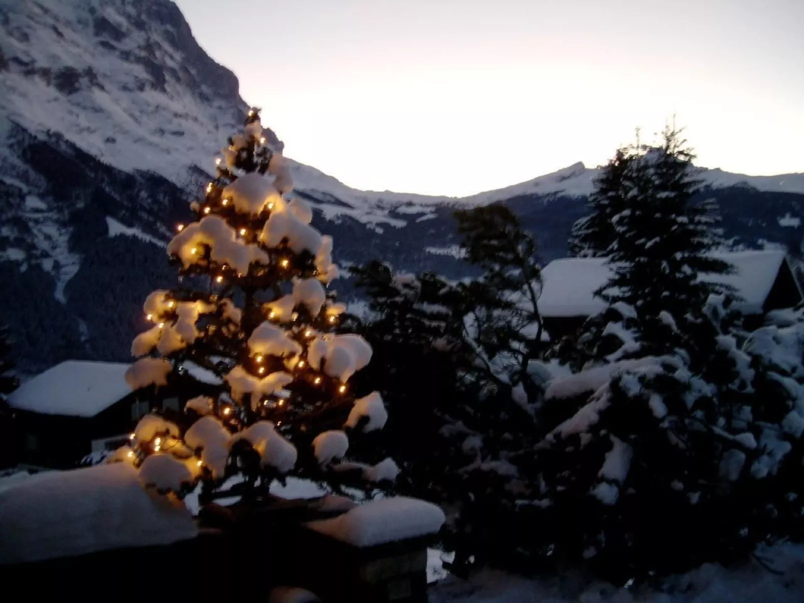 Chalet Mislin, Grindelwald direkte Bergsicht-Buiten