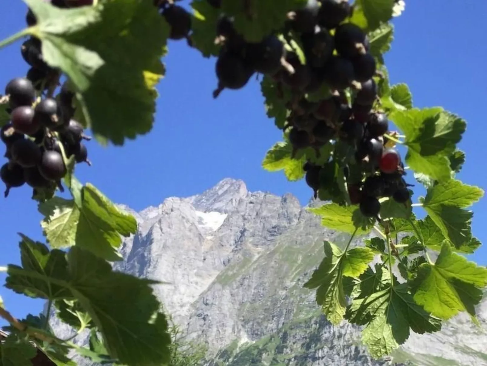 Chalet an ruhiger Lage mit schöner Bergsicht-Image-tags.info