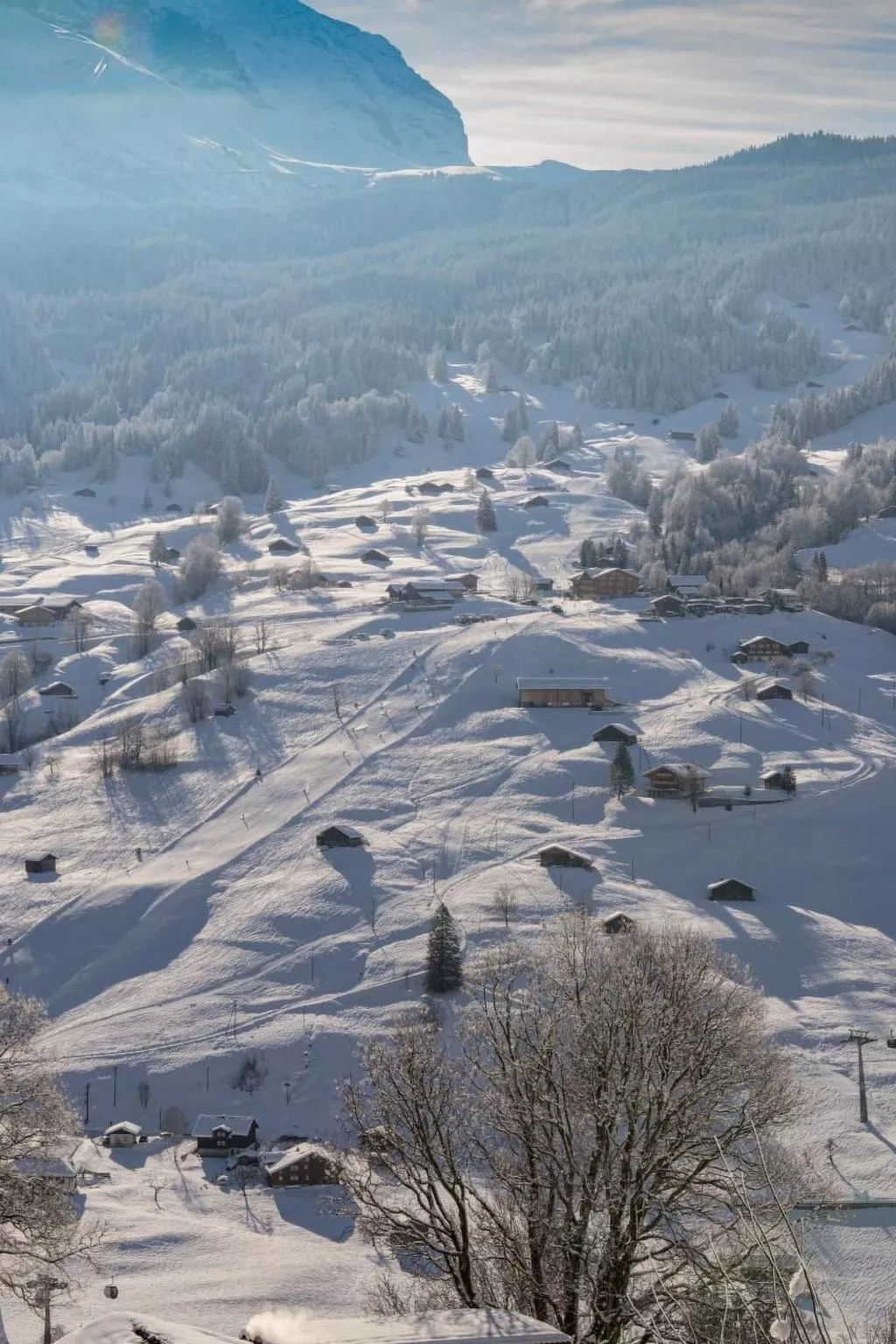 Chalet Burgstein-Buiten