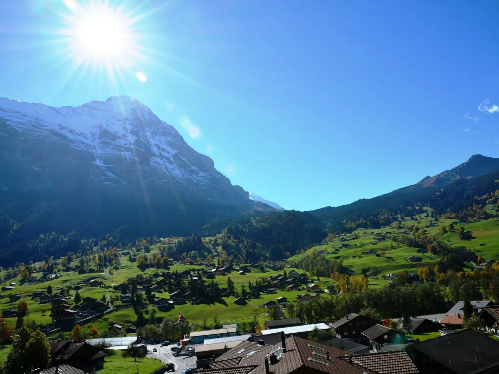 Apartment St. Louis 2.5-Image-tags.info