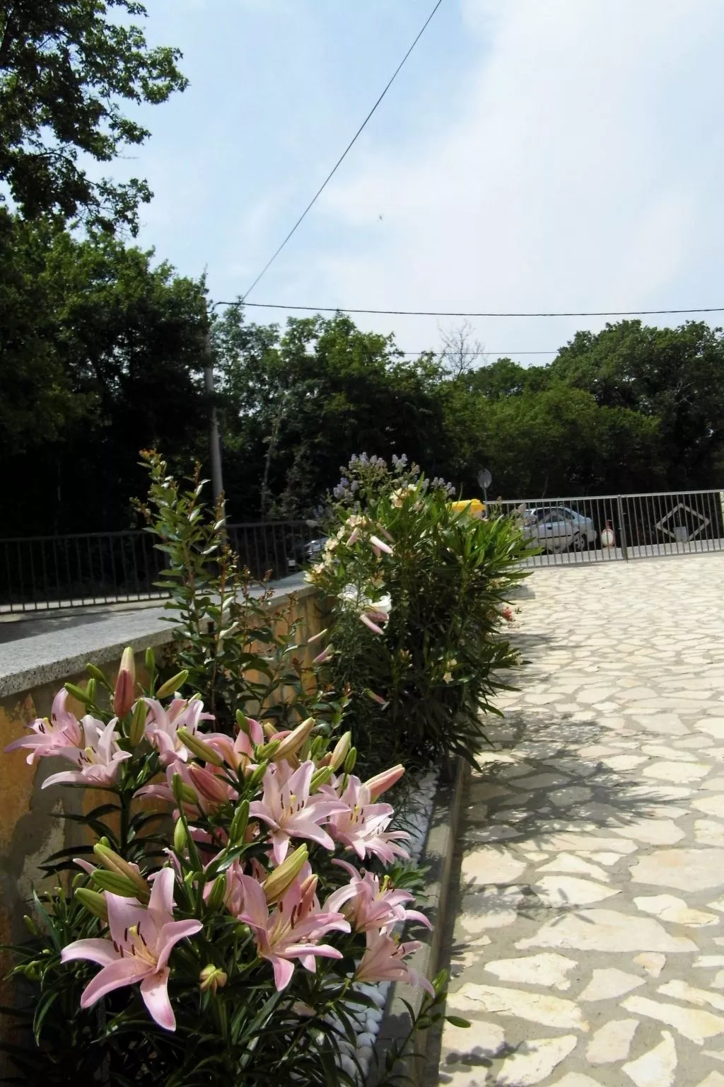 Ausgezeichnete neue und moderne Wohnung-Buiten