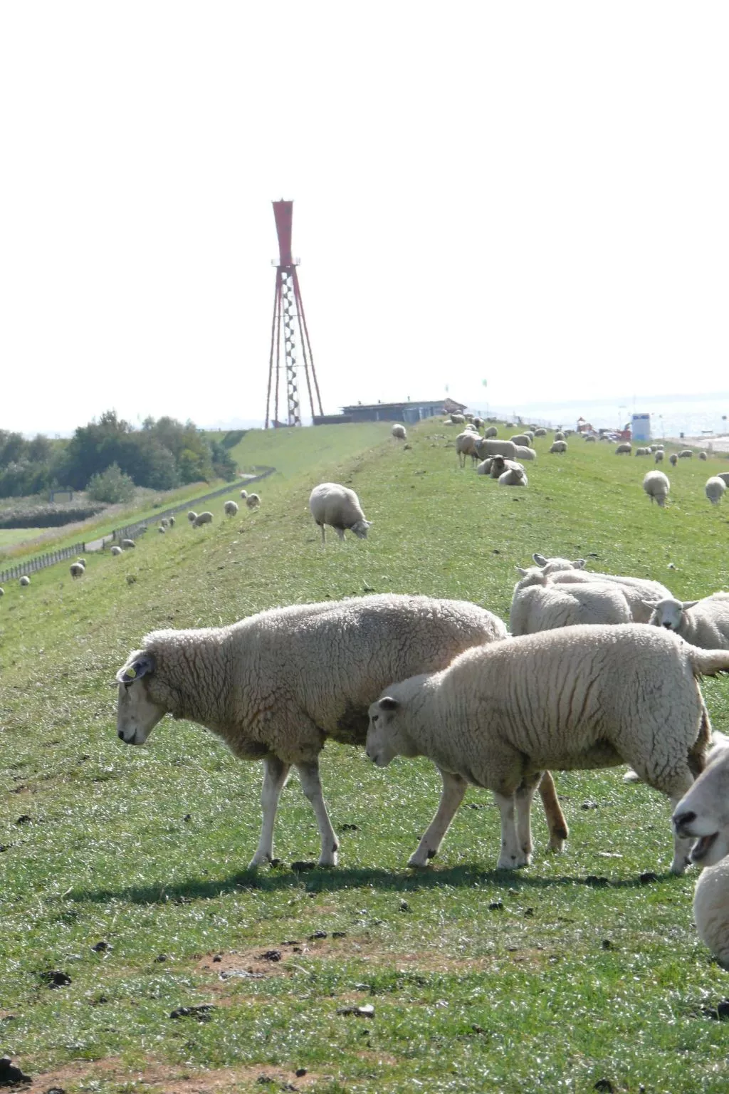 Hochwertiges Ferienhaus in einem Ferienpark-Buiten