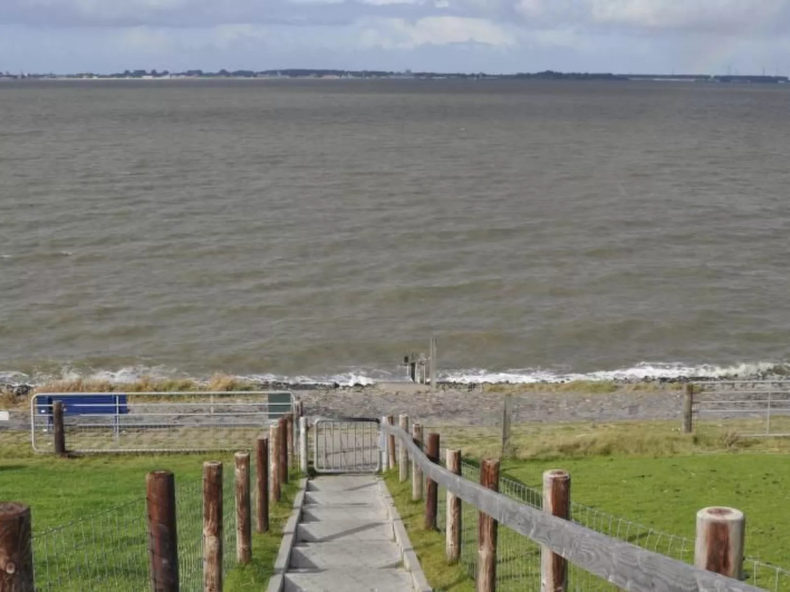 Eul in Butjadingen-Großwürden-Buiten