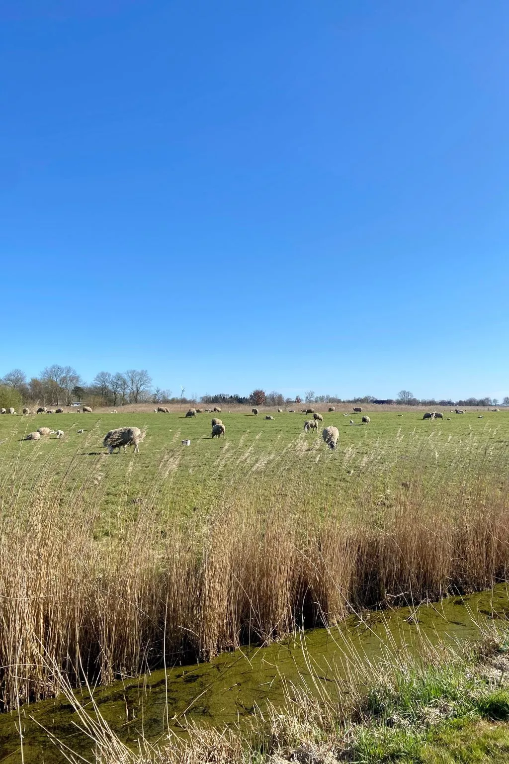 Huus in Hoddersdiek 27-Buiten