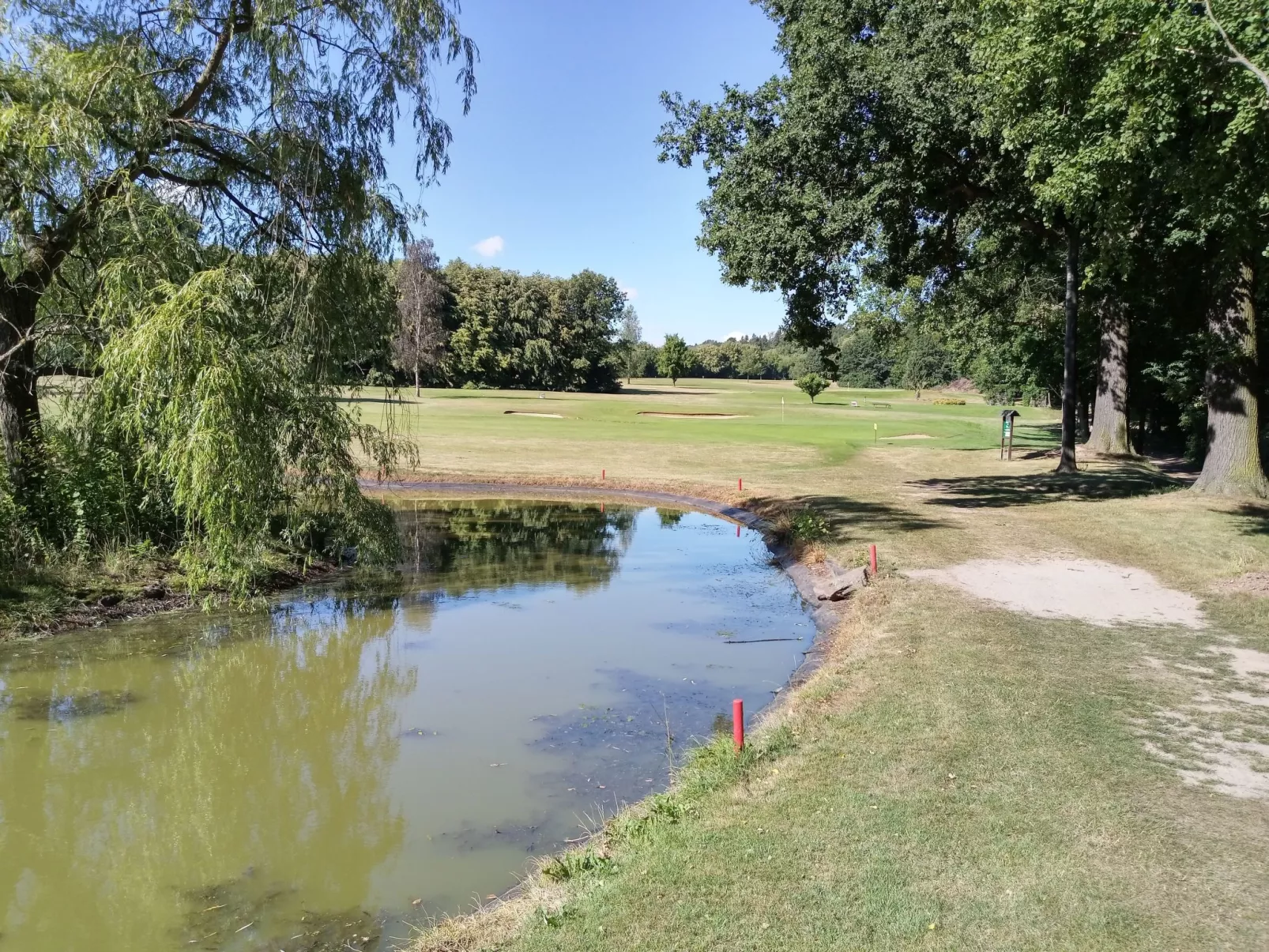 Wohnung in Hänichen mit Garten-Buiten