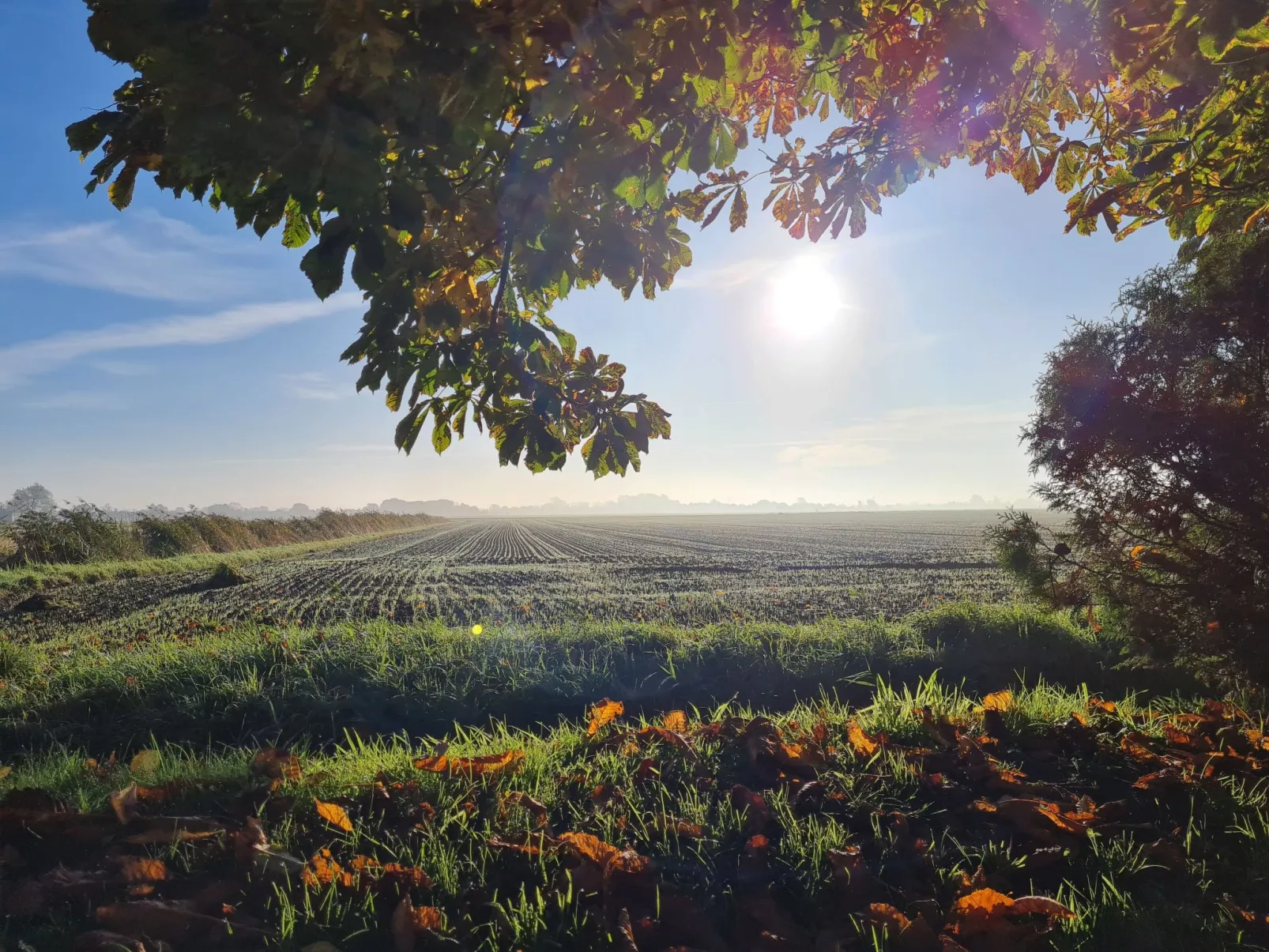 Reetdachhaus Petra-Buiten