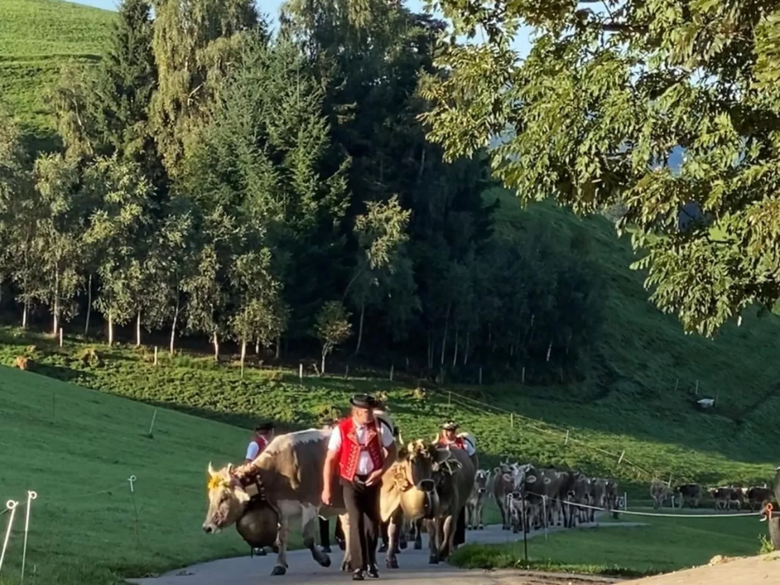 Alpakahof Ferien-Buiten