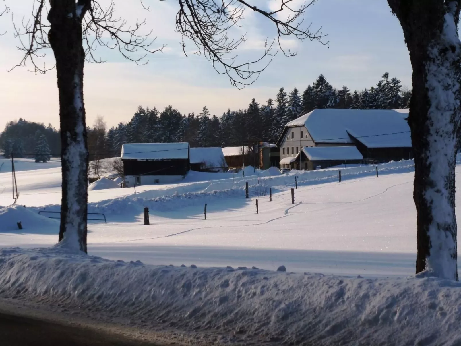 Chalet Désir, Lajoux-Buiten