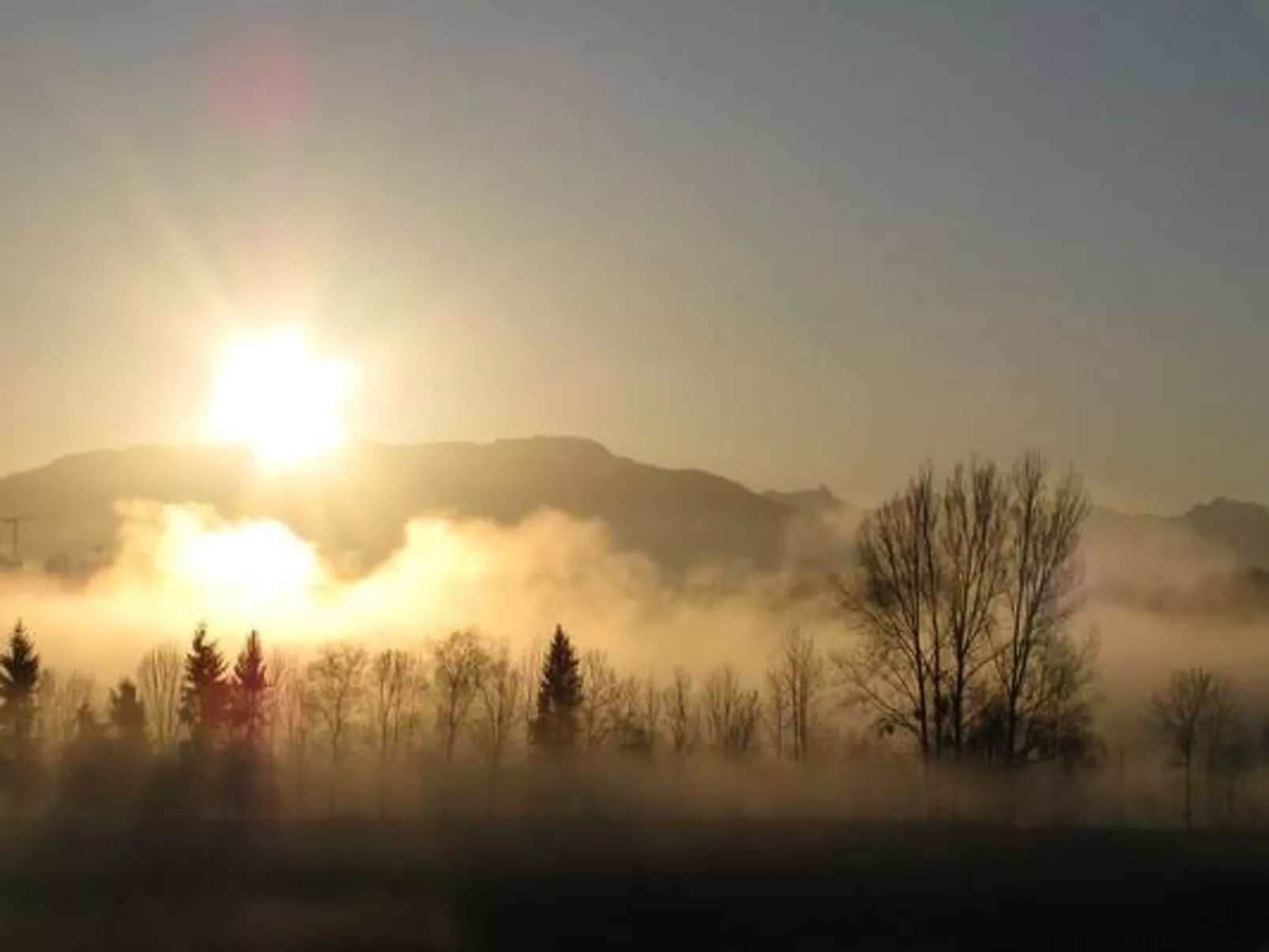 Sidlers Neuhof-Image-tags.info