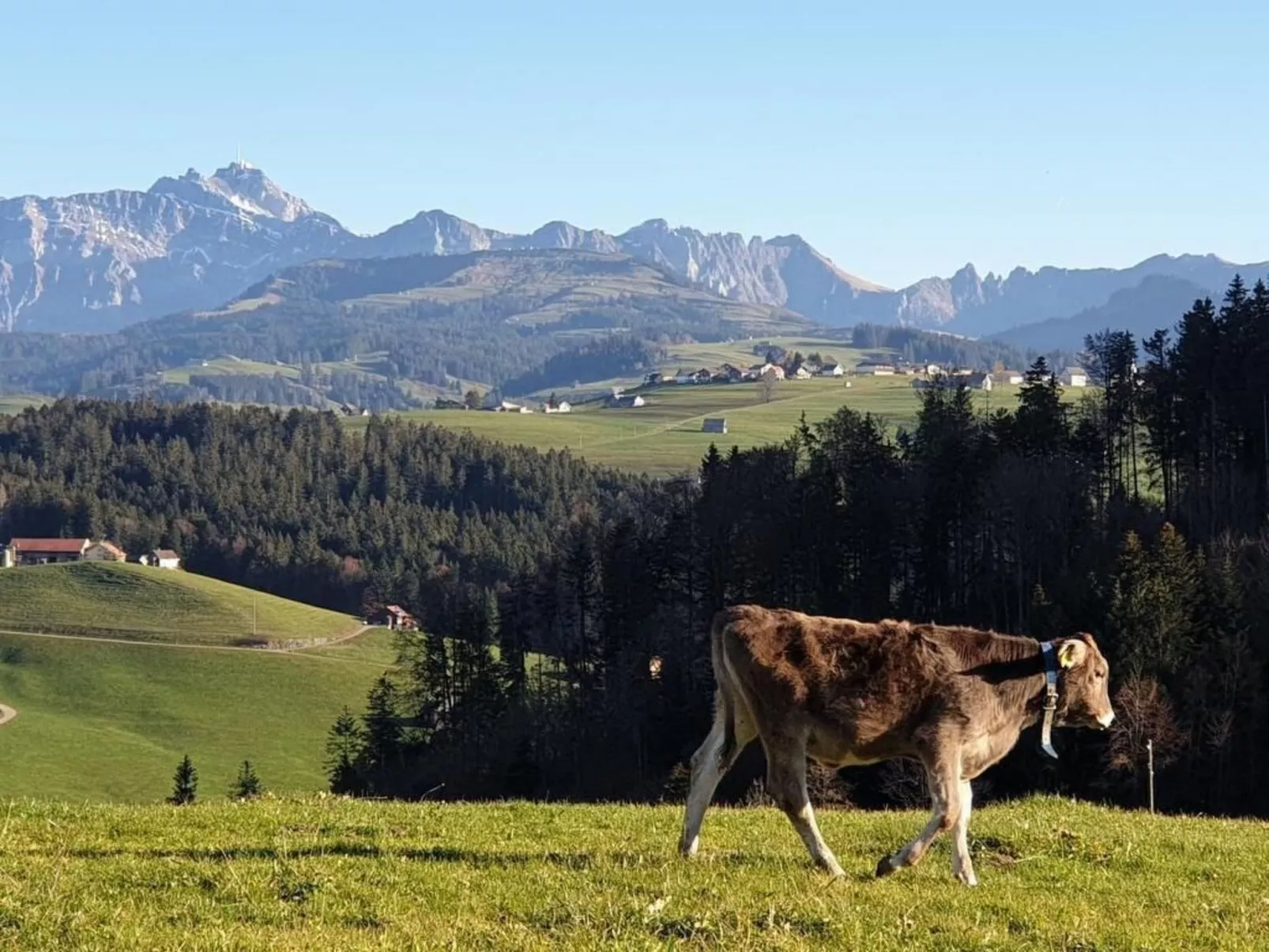 Chalet Traumfleck-Buiten