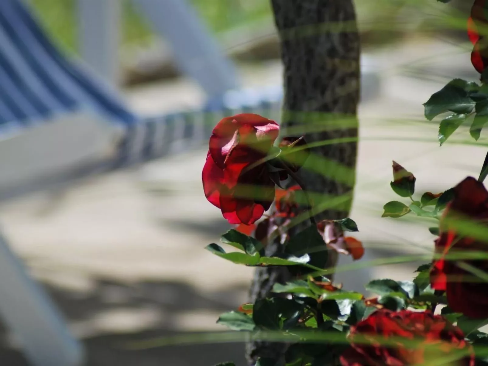 Rustikales Haus in Lukoran mit privatem Parkplatz-Buiten