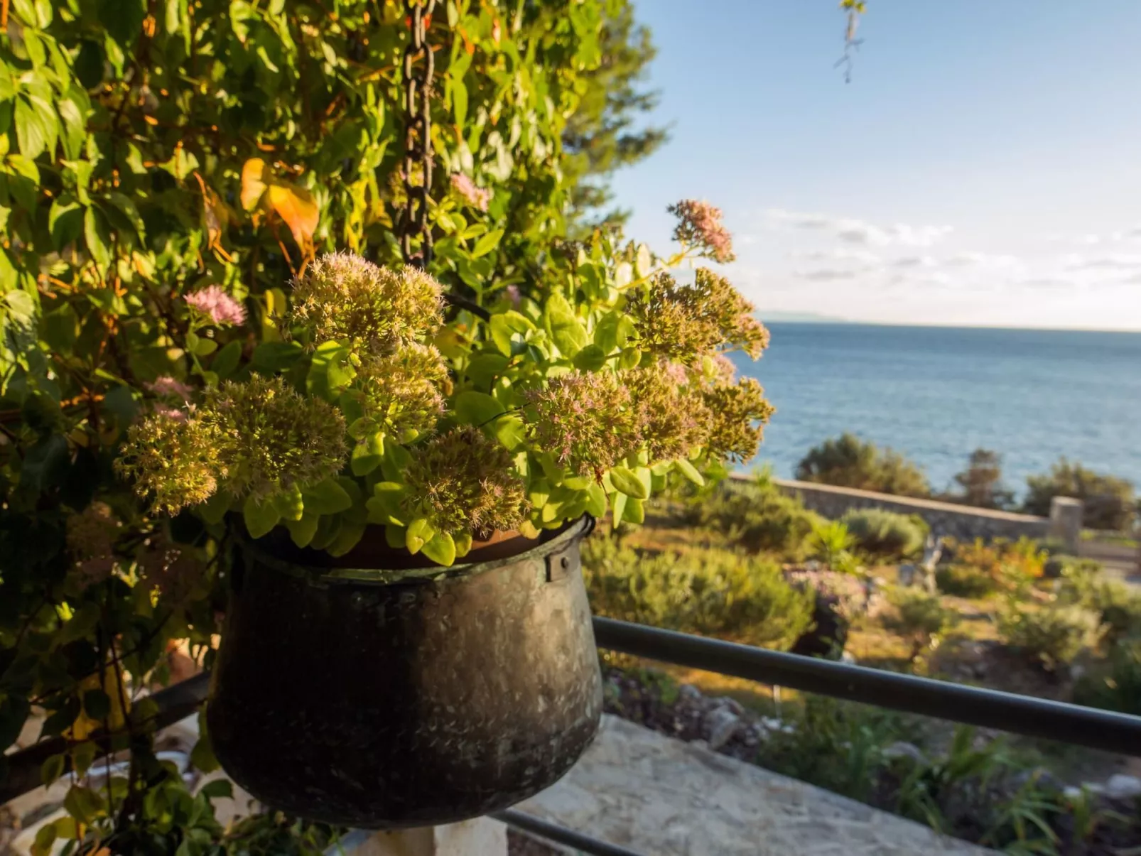 "Mirta" direkt am Strand-Buiten