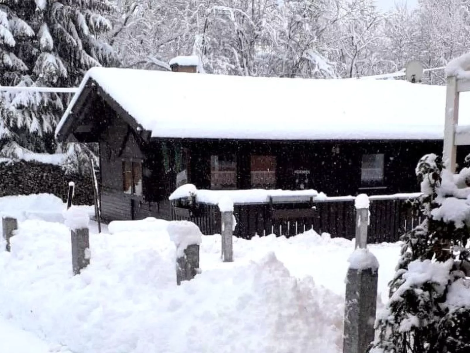 Tamara in Eppenschlag-Buiten