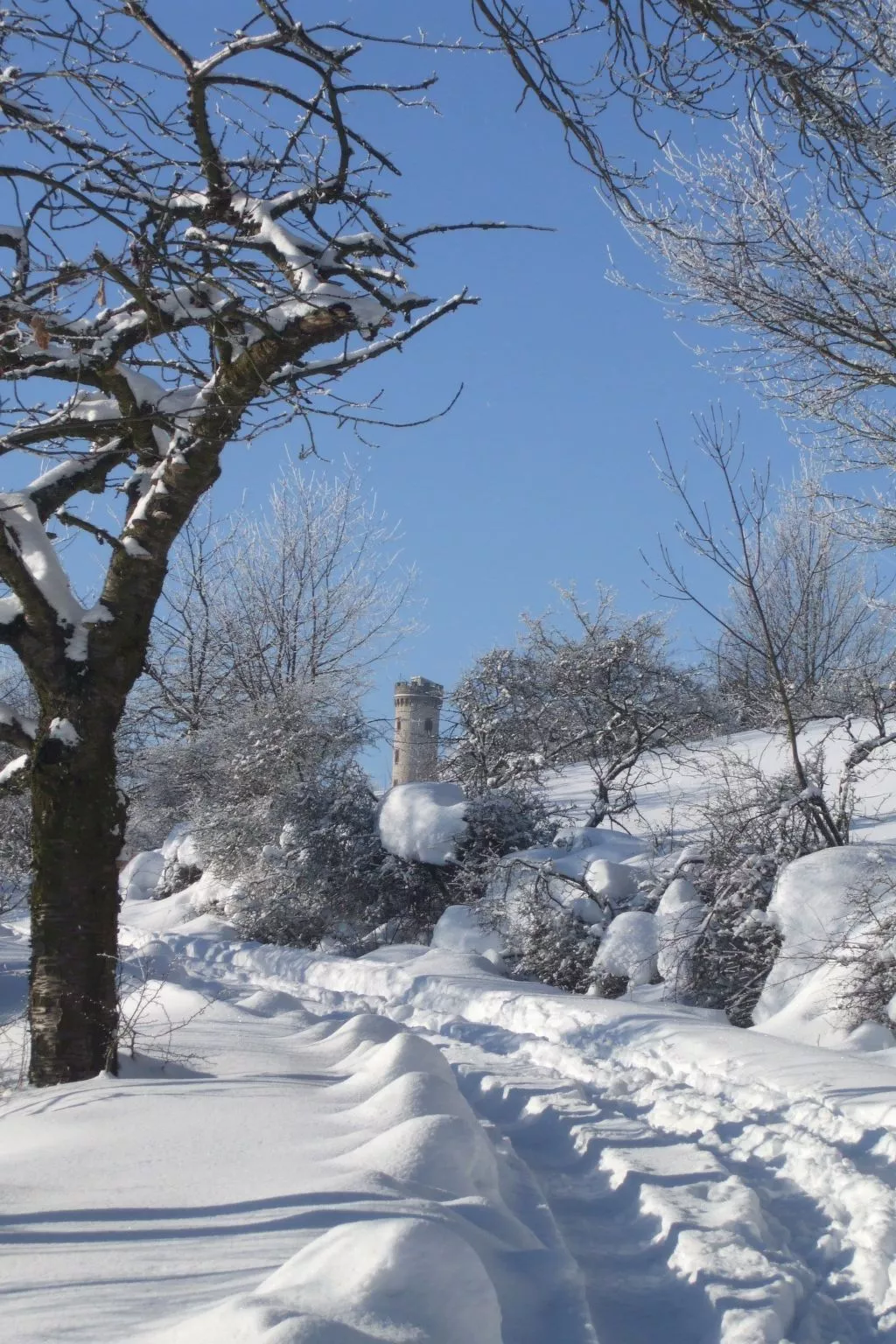 Gemütliche Ferienwohnung mit Garten-Buiten