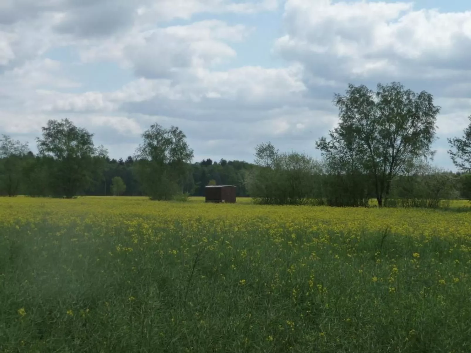 Biele-Image-tags.info