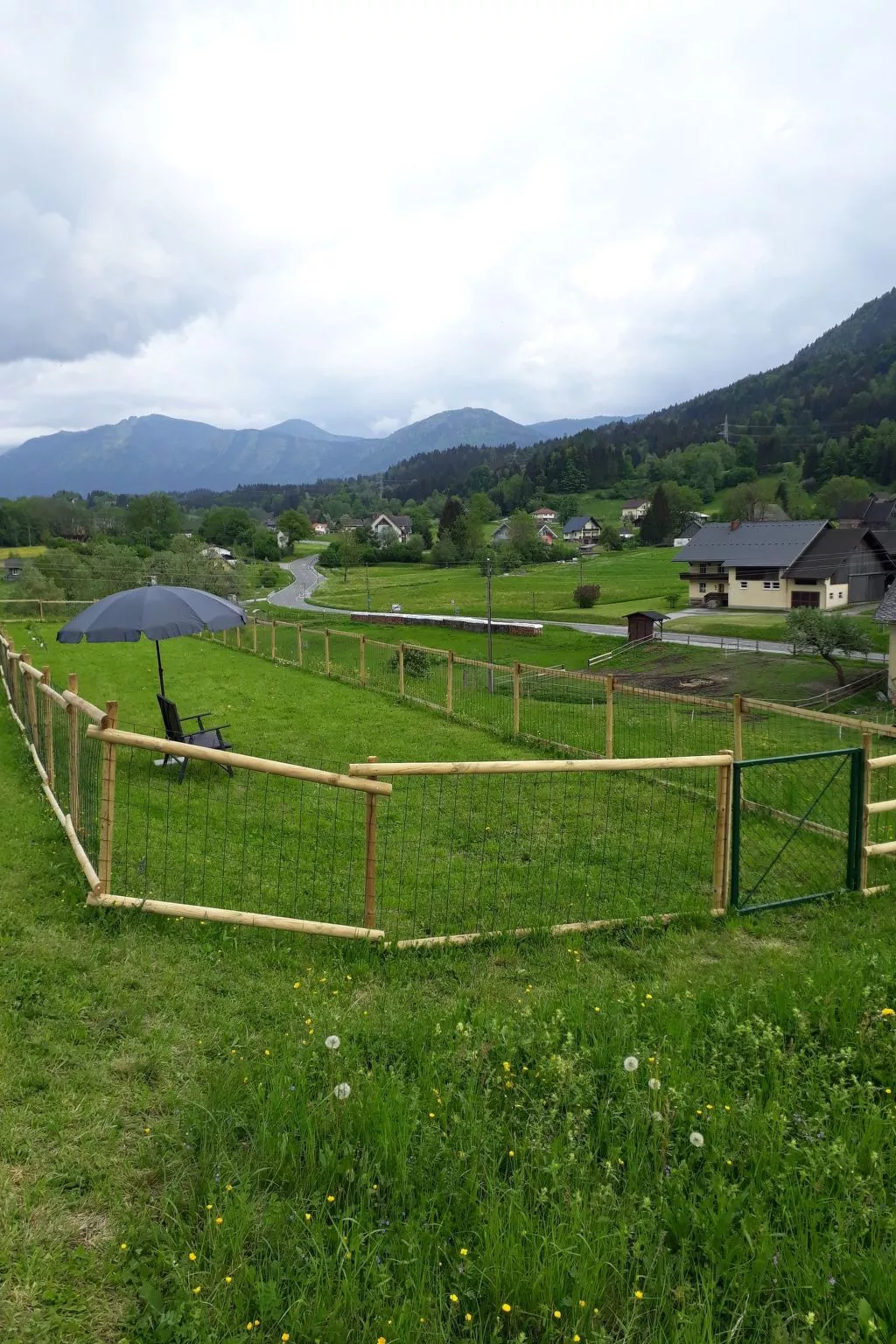 Johanna in Dreulach-Image-tags.info