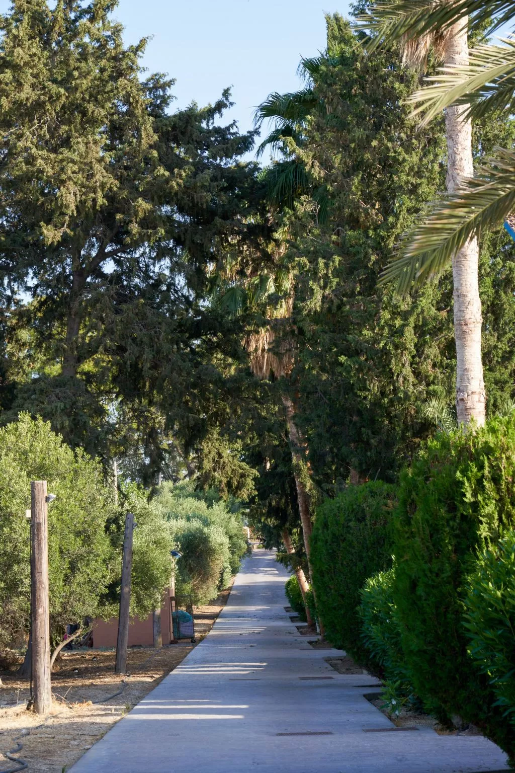 In Polis Chrysochous mit Offenem Kamin-Buiten