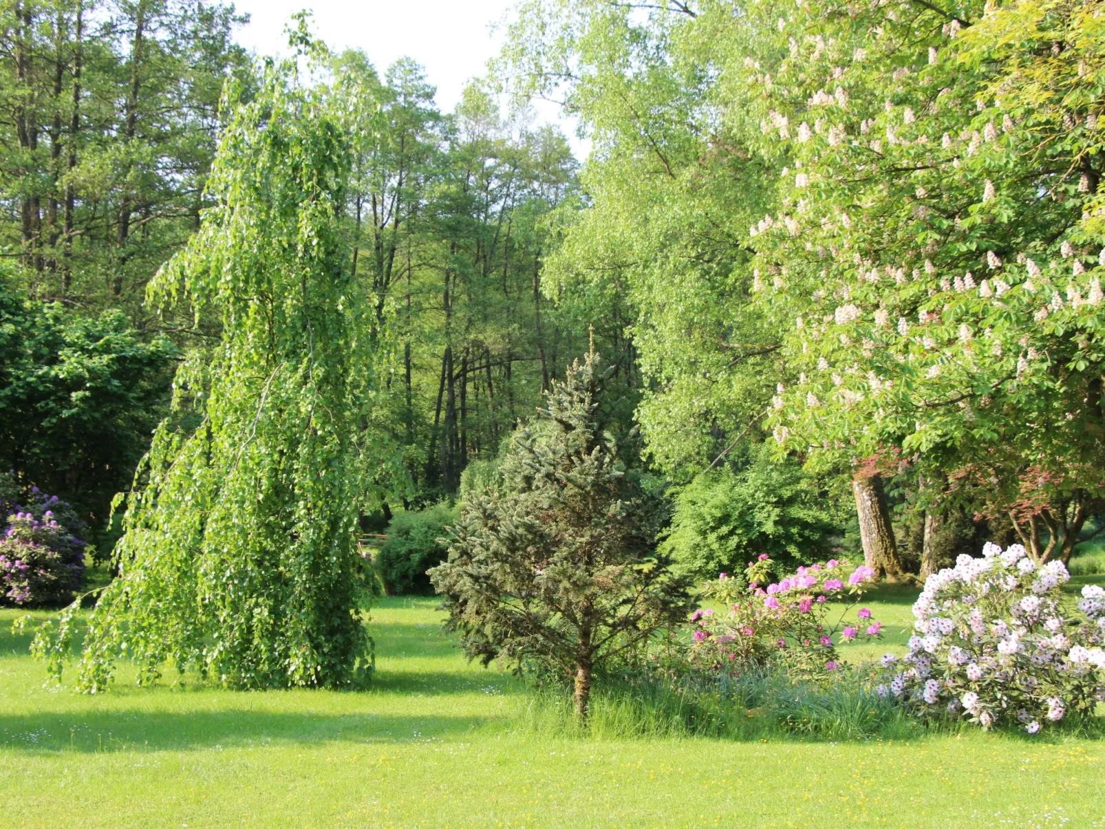 Ferienvilla mit eigener Sauna-Buiten