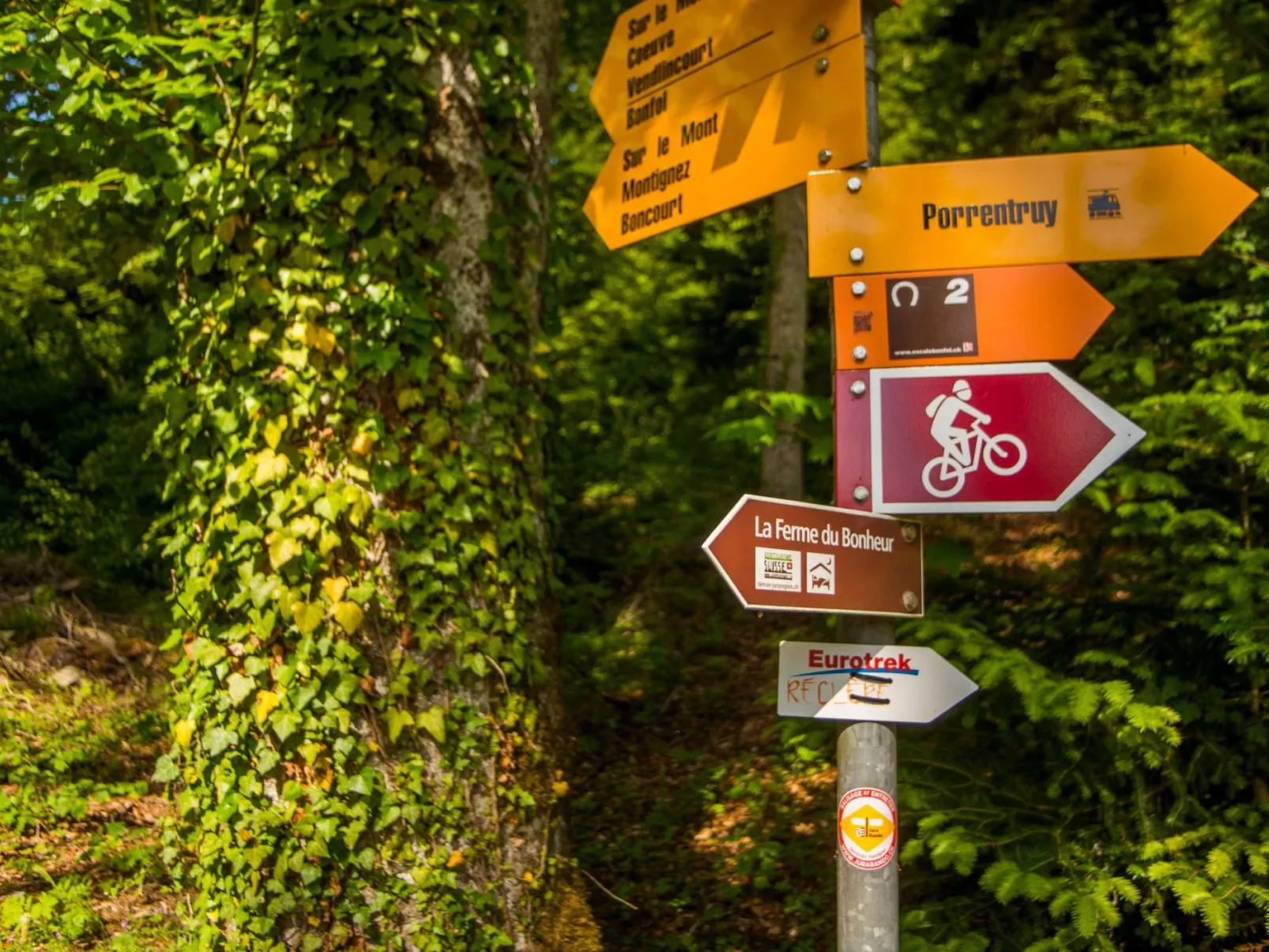 Leben "Im Herzen der Farm"-Buiten