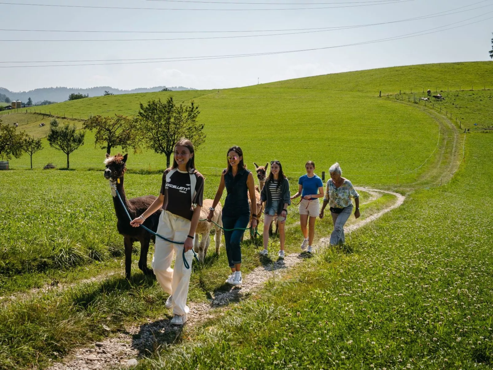 Lamahof Tschäppel-Image-tags.info