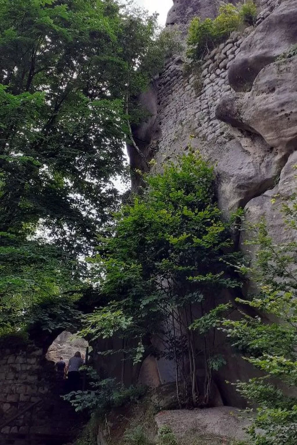 In natürlicher Umgebung-Buiten