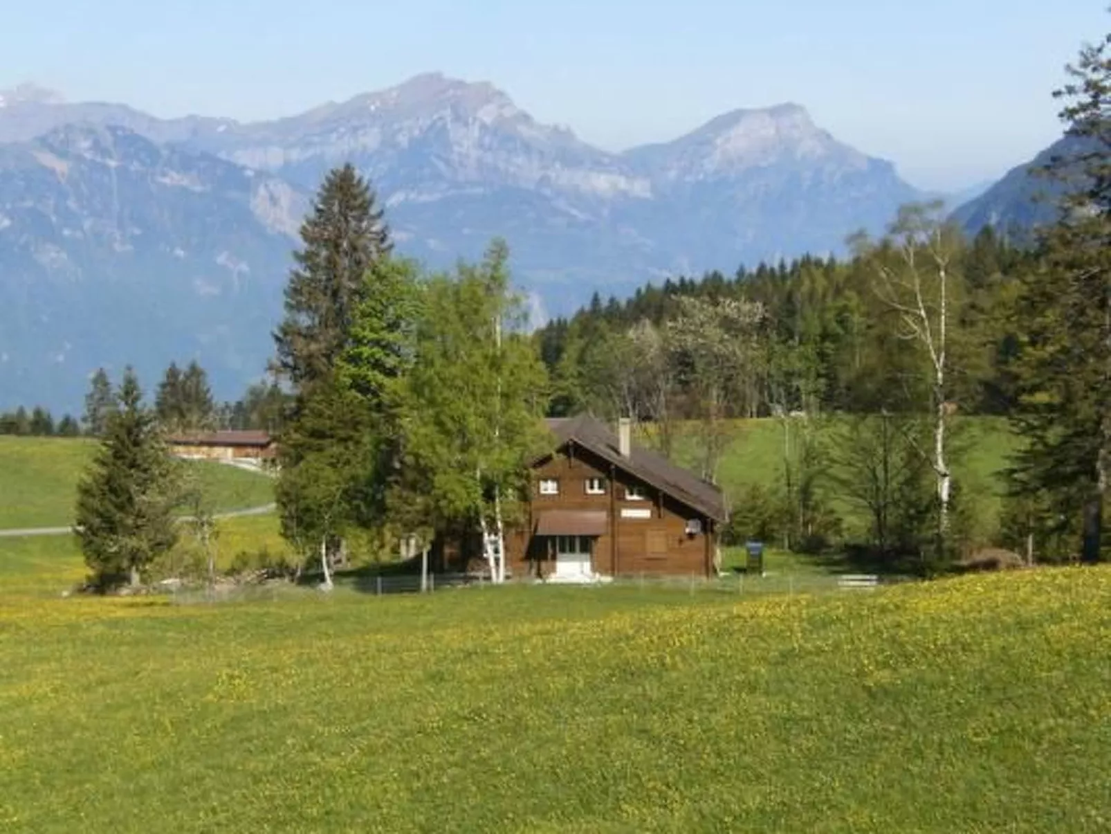Ferien im grünen rechts-Buiten