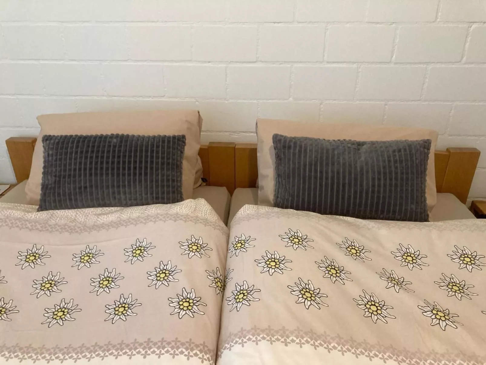 Gemütliche Parterre-Ferienwohnung mit Terrasse-Binnen