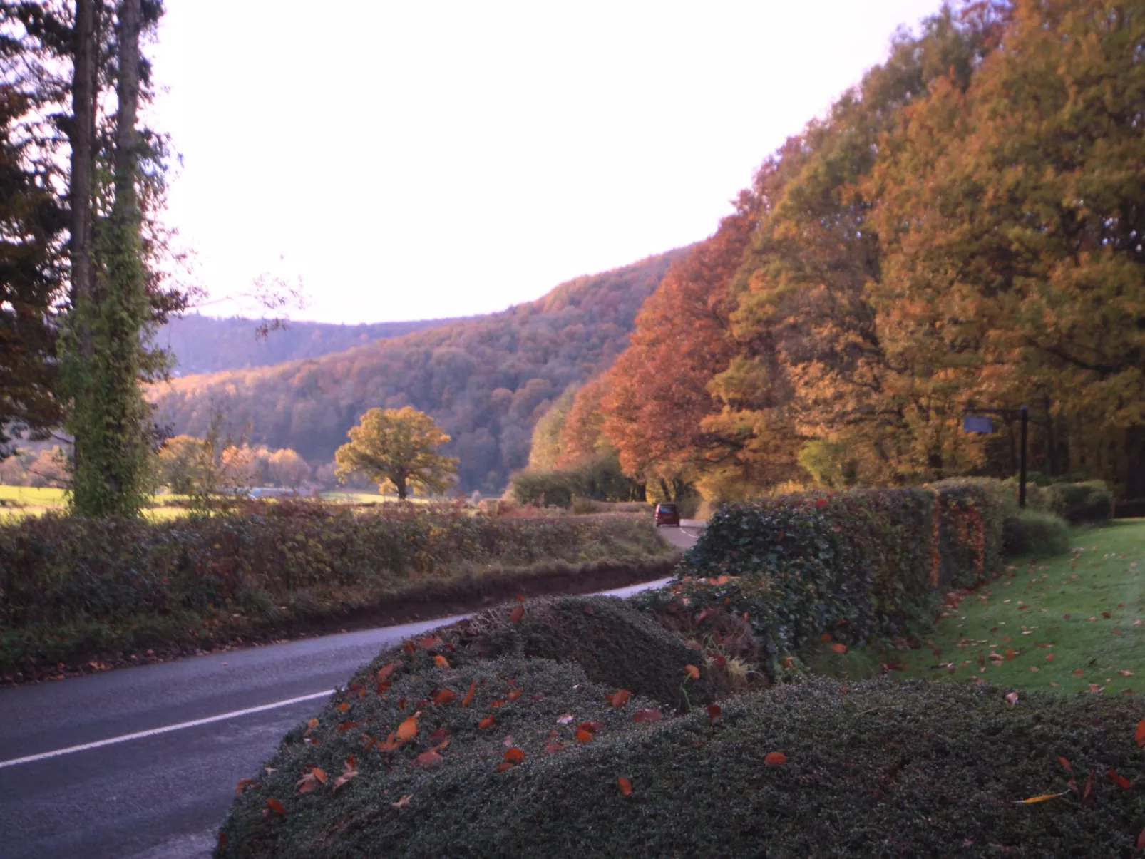 Cottage "Foxes Reach" mit Whirlpool-Buiten