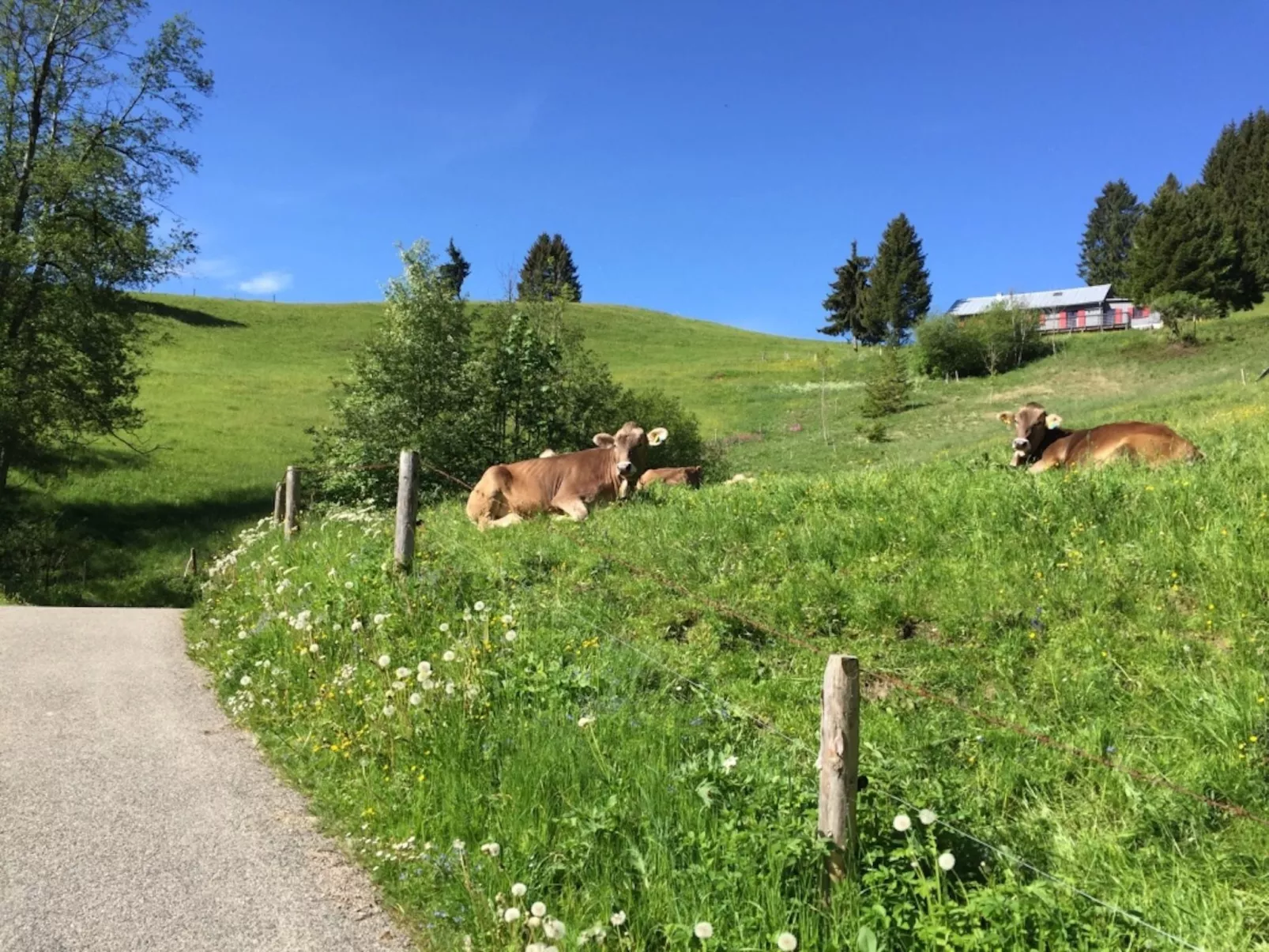 Sehnsucht Allgäu-Buiten