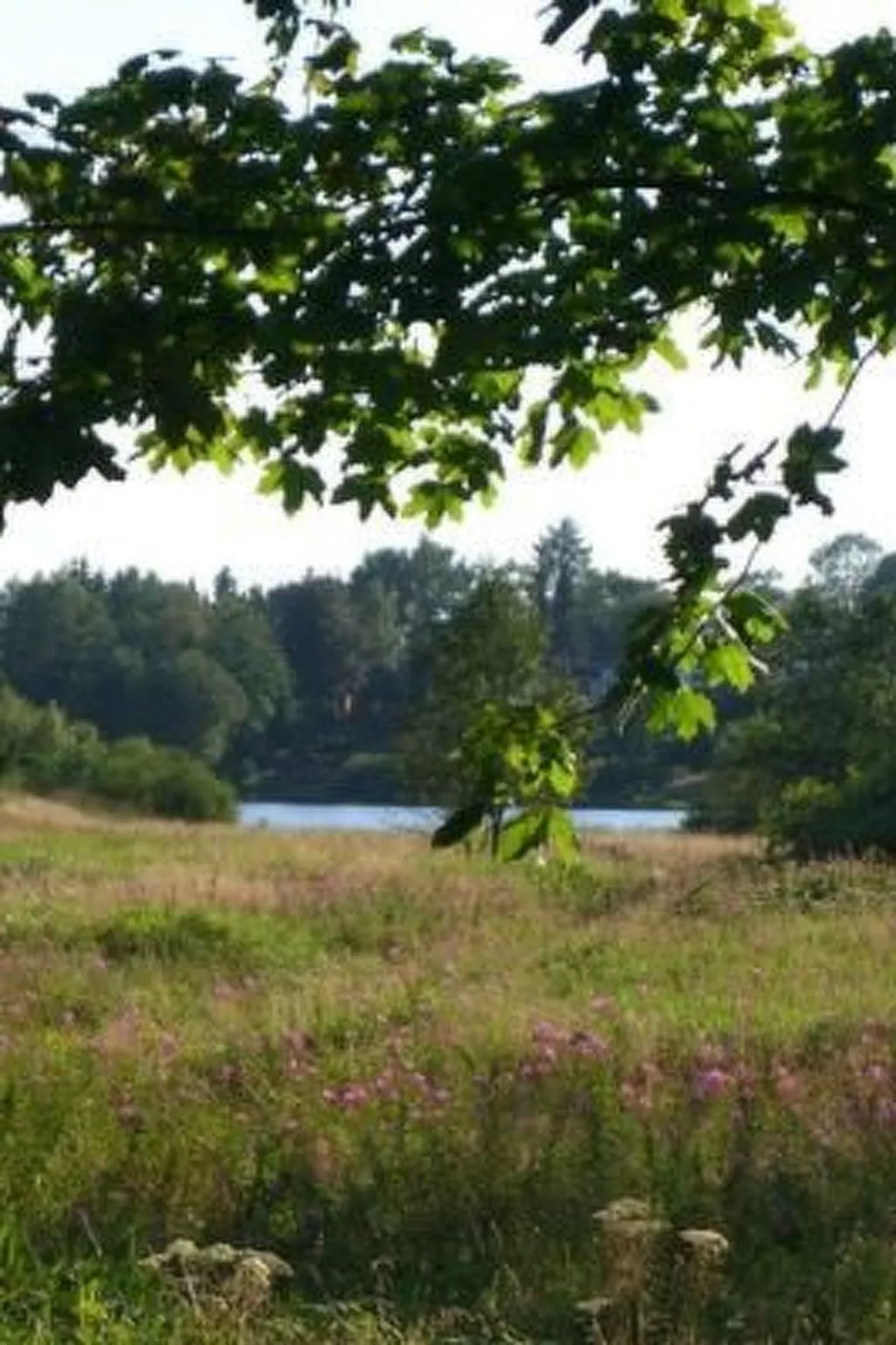 Ferienw. Natur pur-Image-tags.info