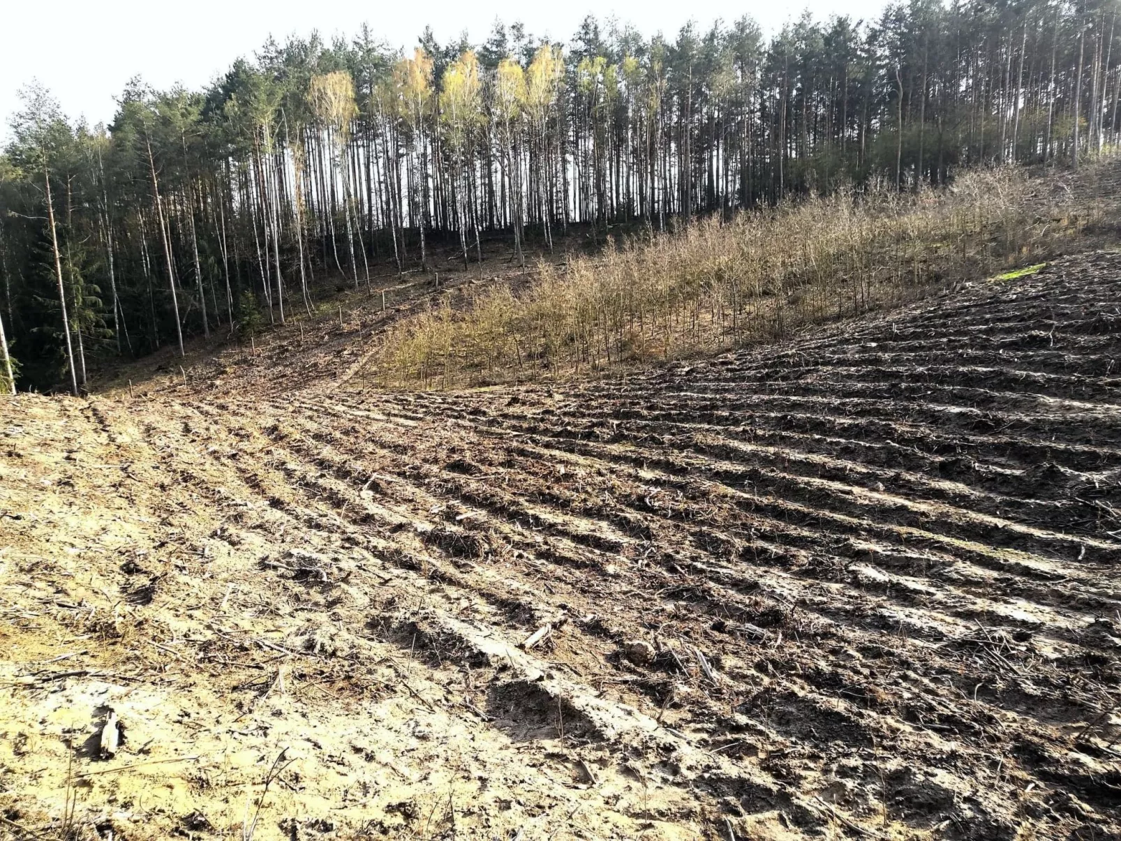 "Ferienhaus GolczaVita"-Image-tags.info