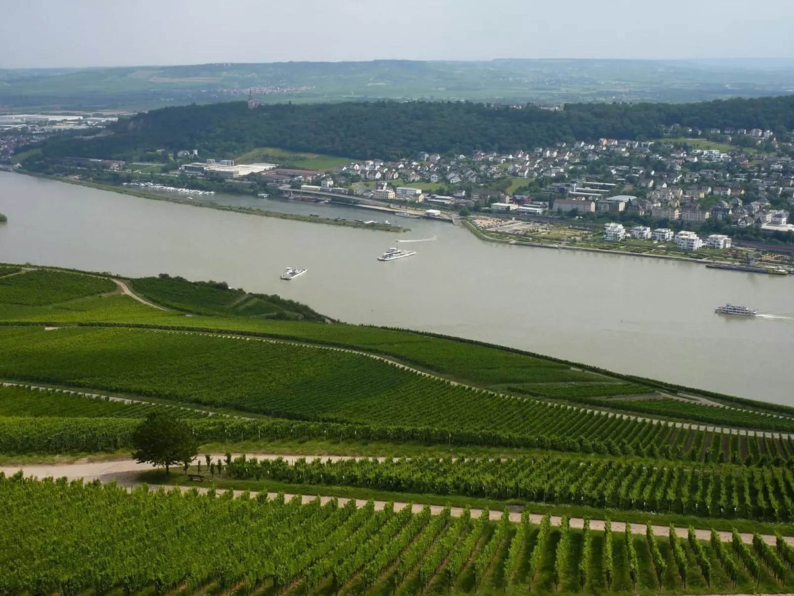 Appartement mit Terrasse, Garten und Grill-Buiten