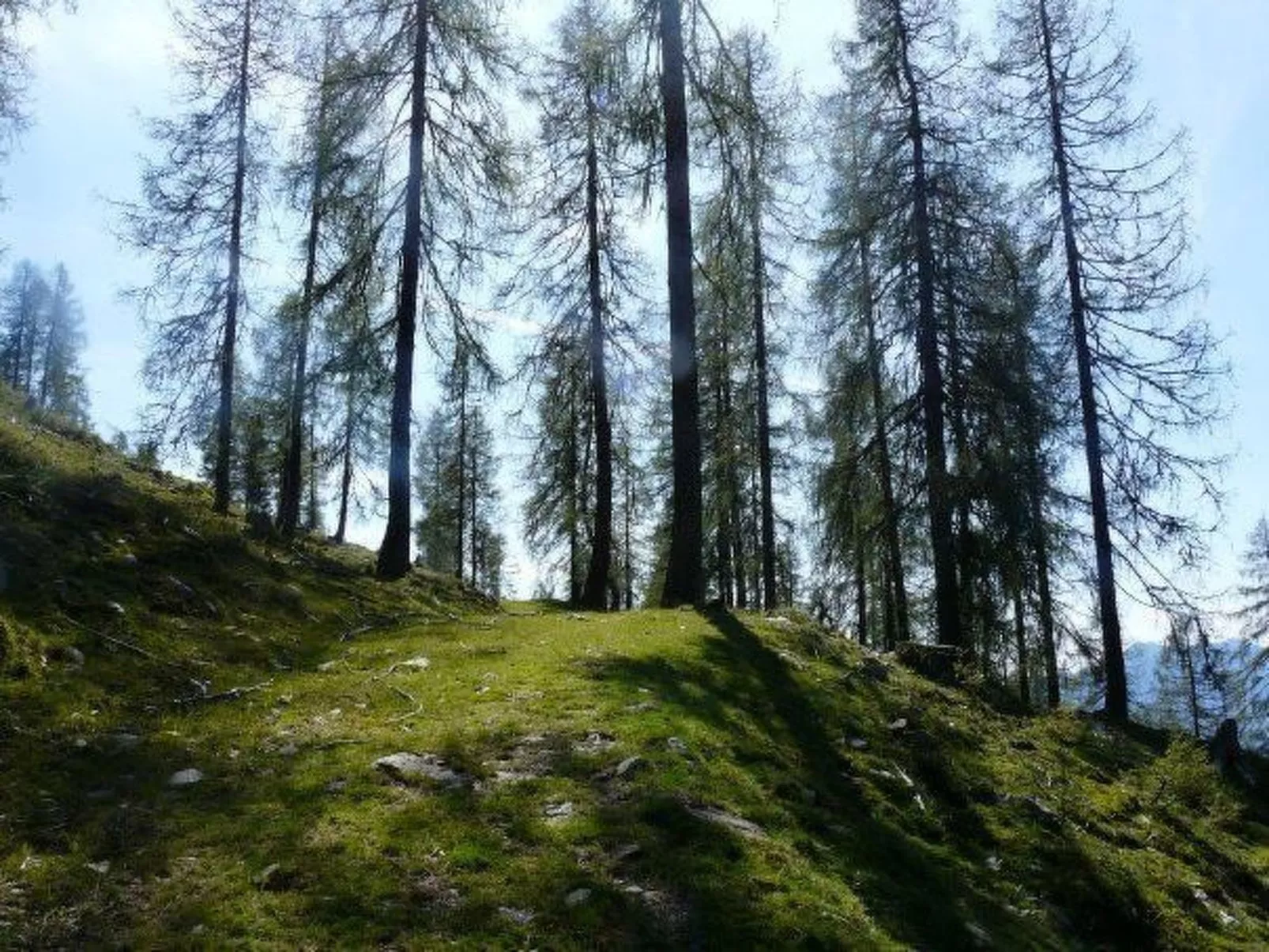 Almhütte Enzian-Image-tags.info