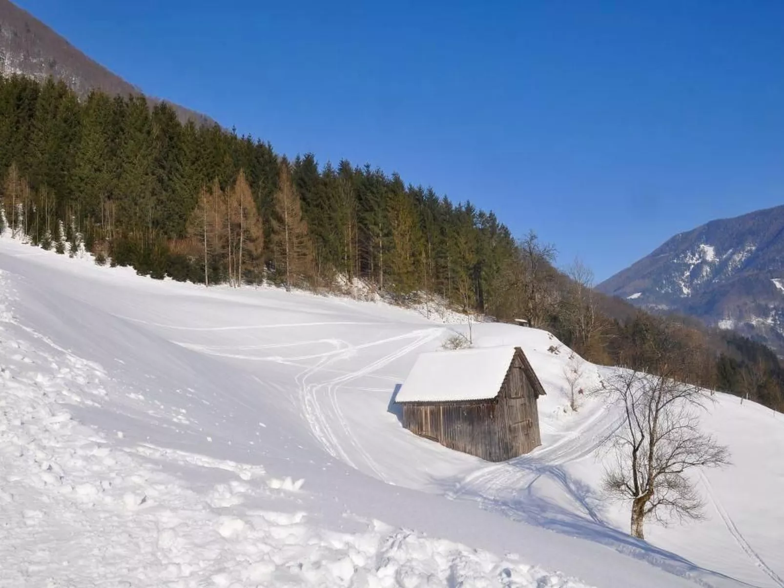 Flössersteighütte-Buiten